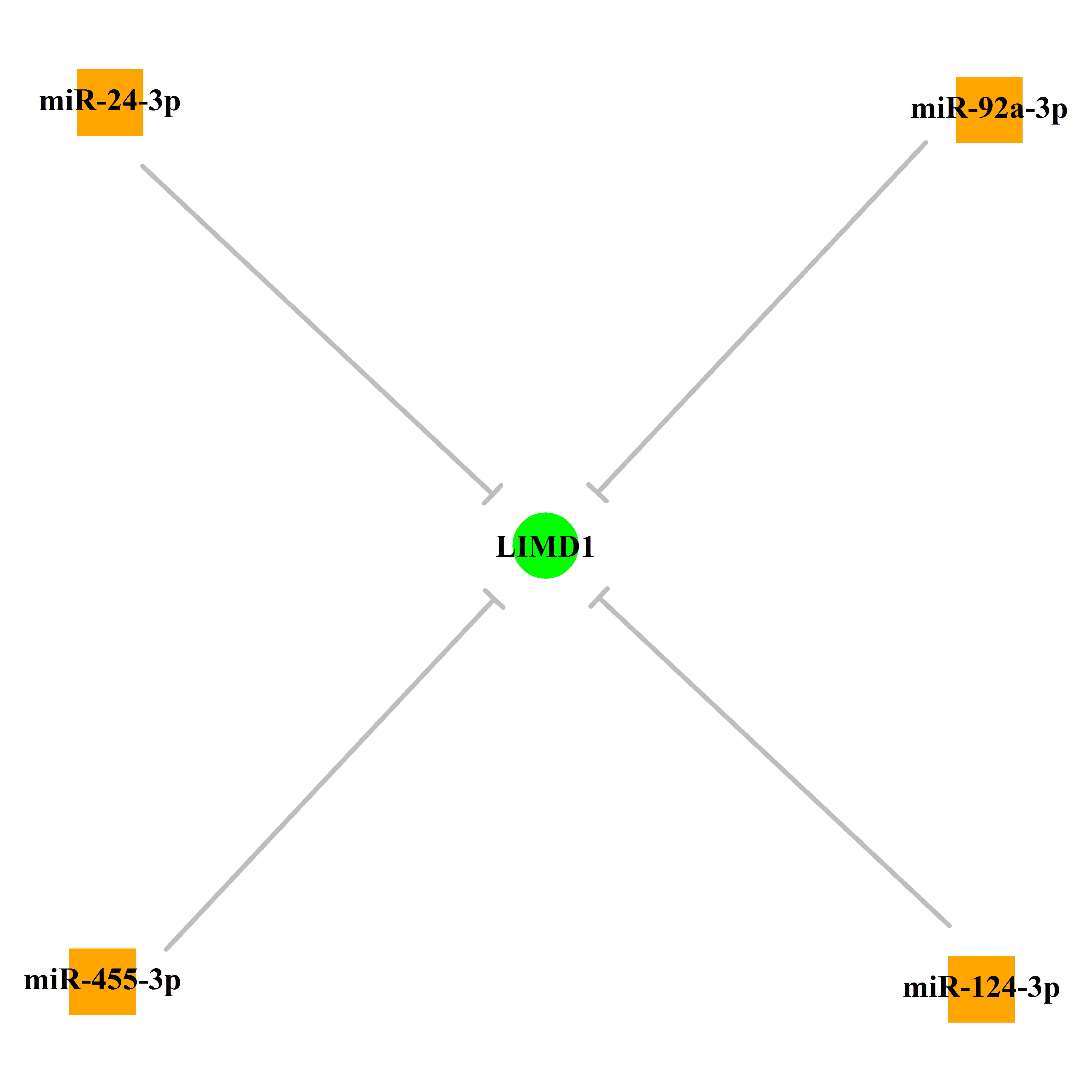 Experimentally validated miRNA-TS gene regulation information.