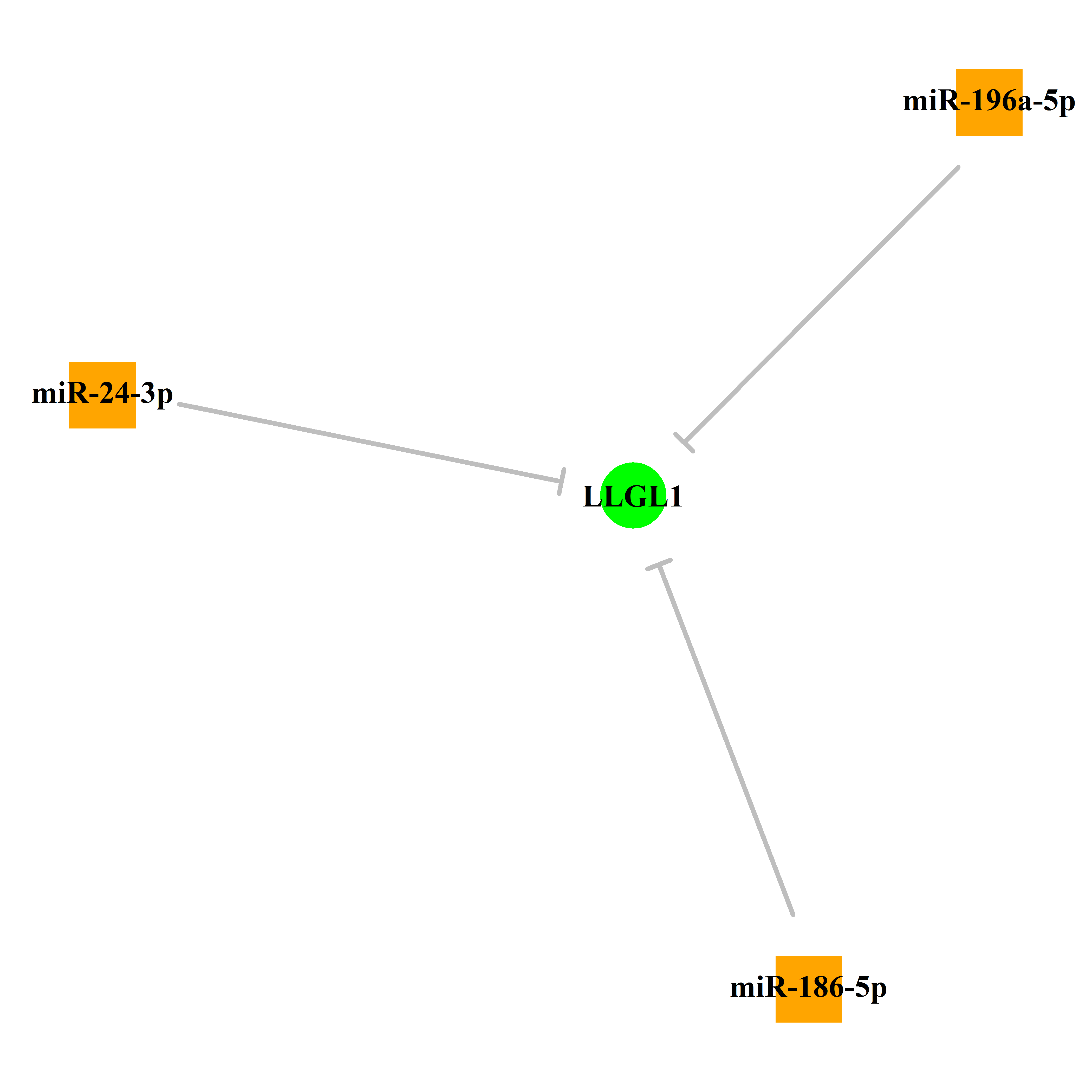 Experimentally validated miRNA-TS gene regulation information.