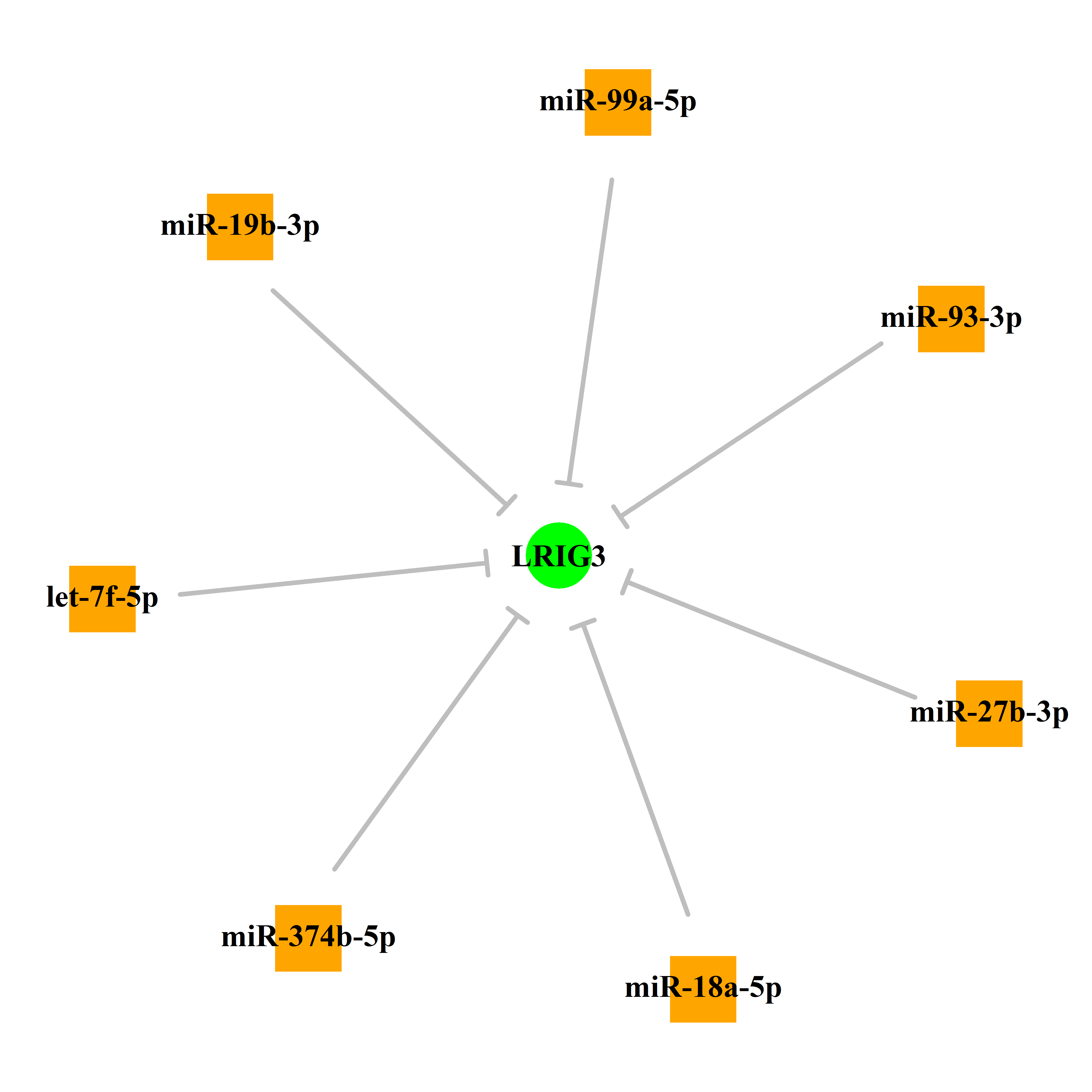 Experimentally validated miRNA-TS gene regulation information.