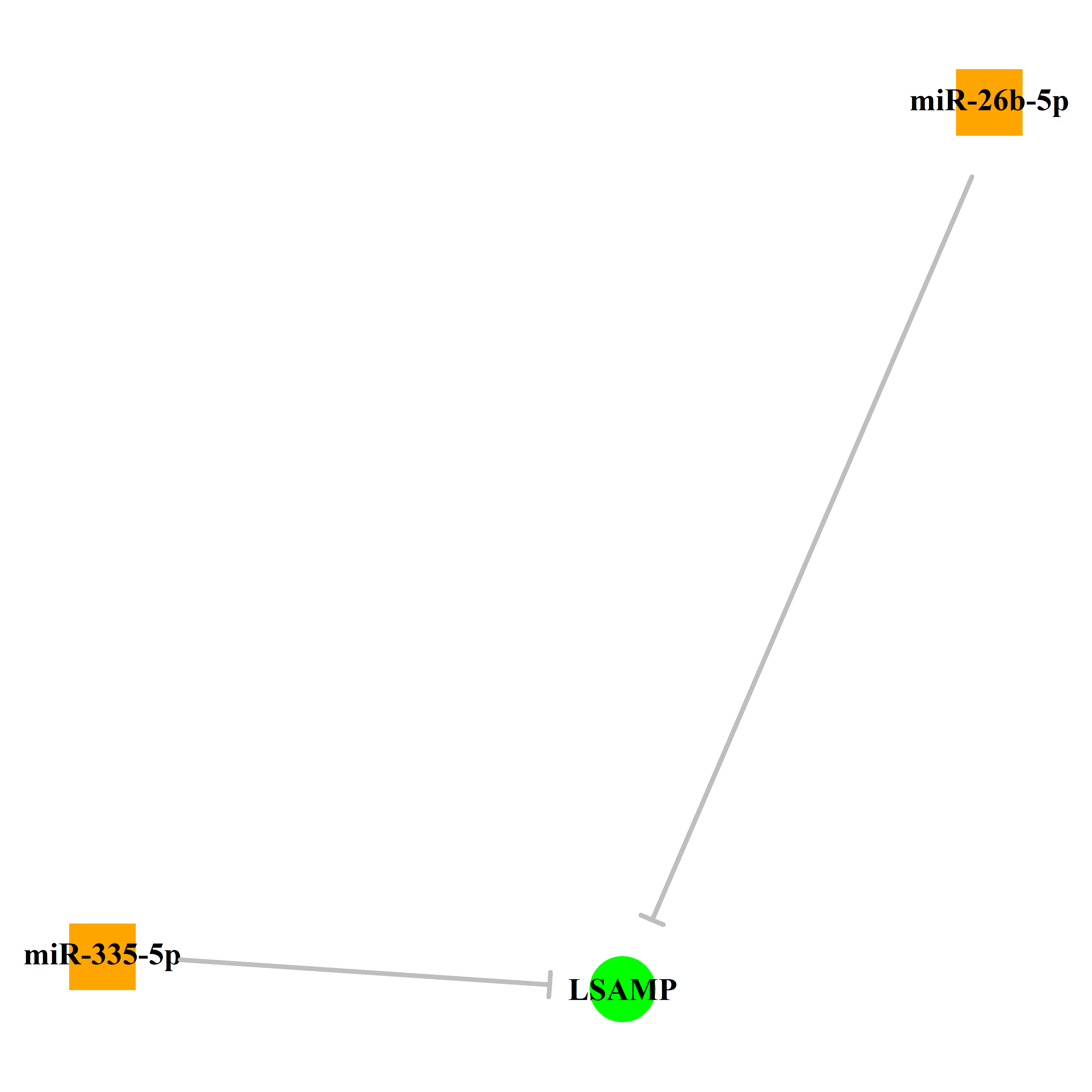 Experimentally validated miRNA-TS gene regulation information.