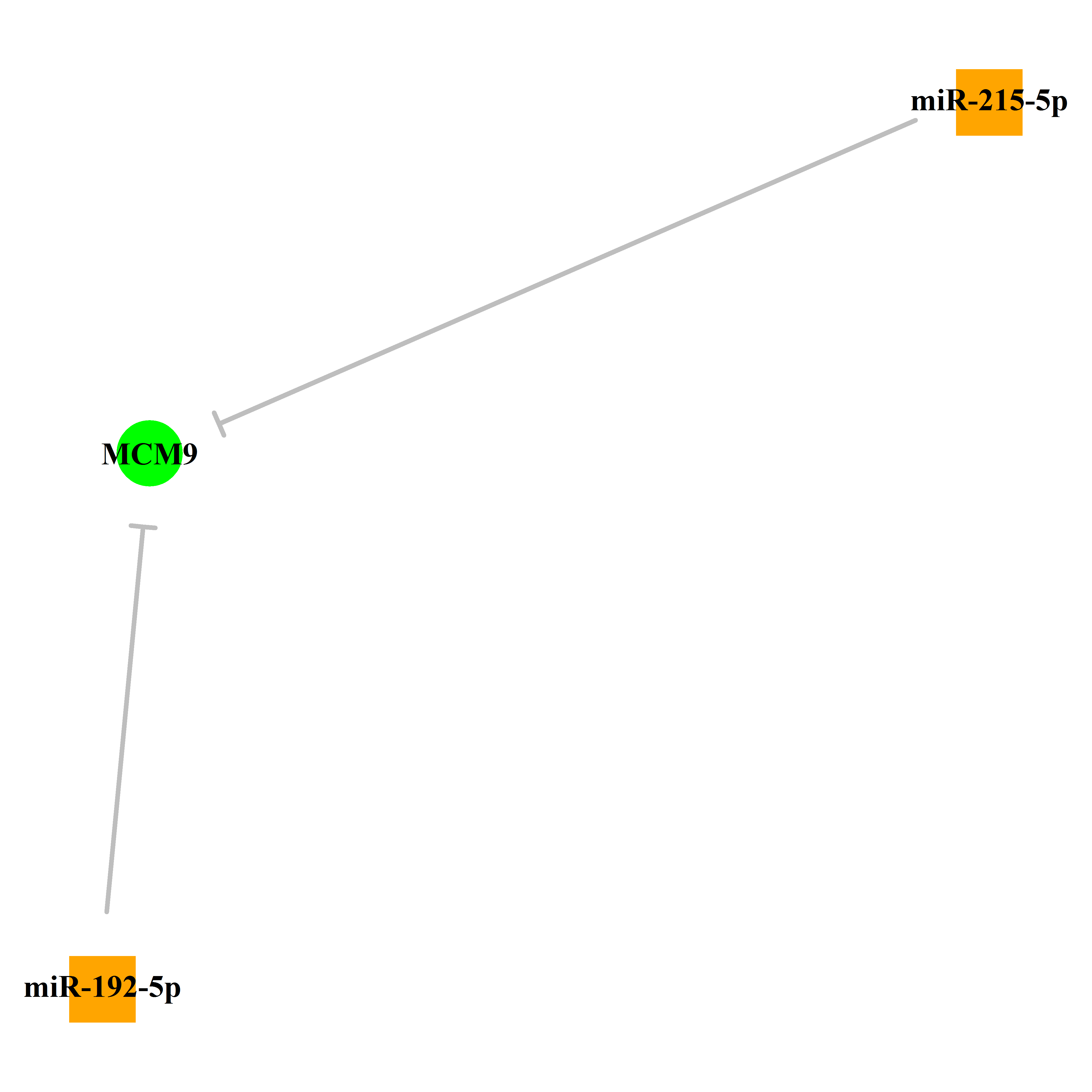 Experimentally validated miRNA-TS gene regulation information.