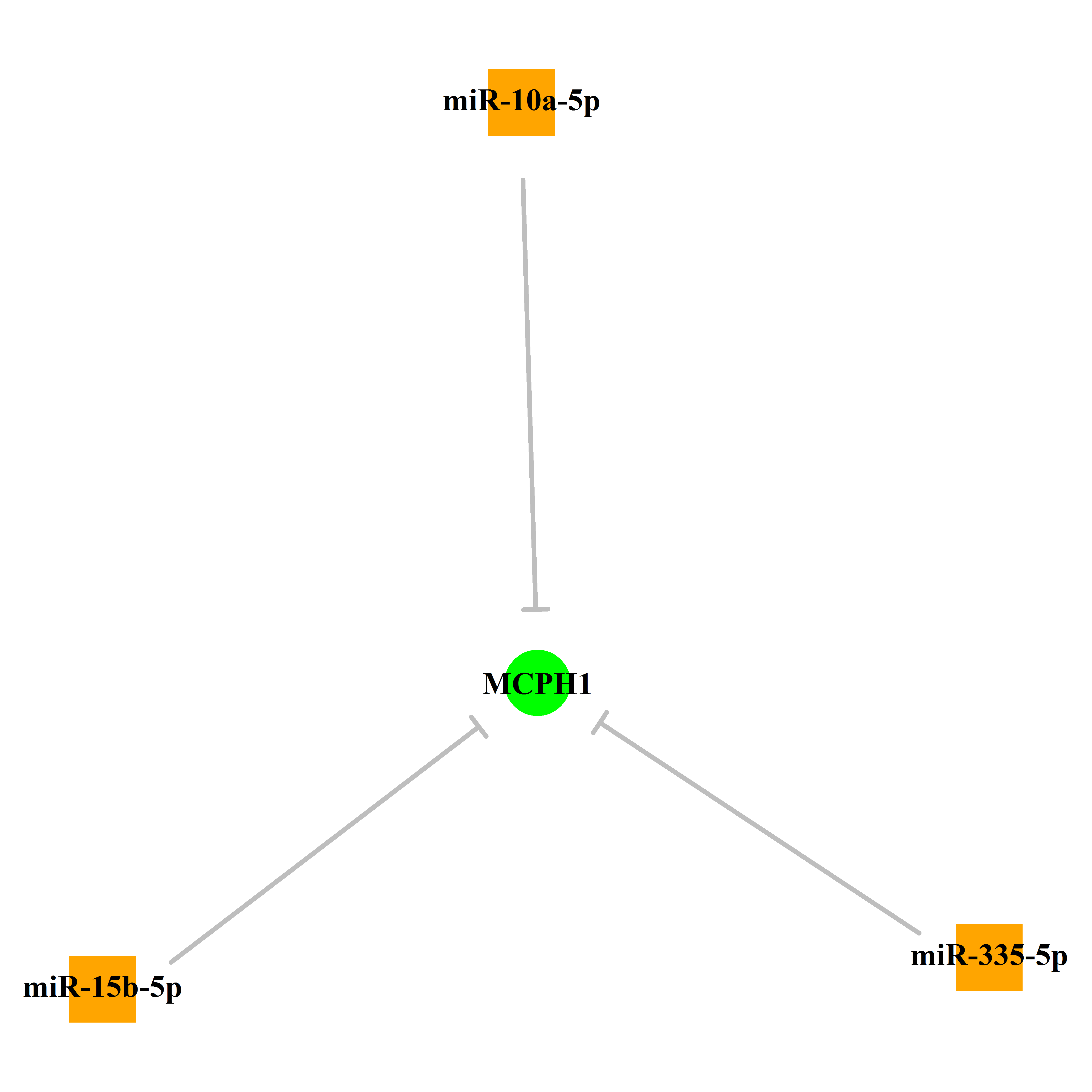 Experimentally validated miRNA-TS gene regulation information.