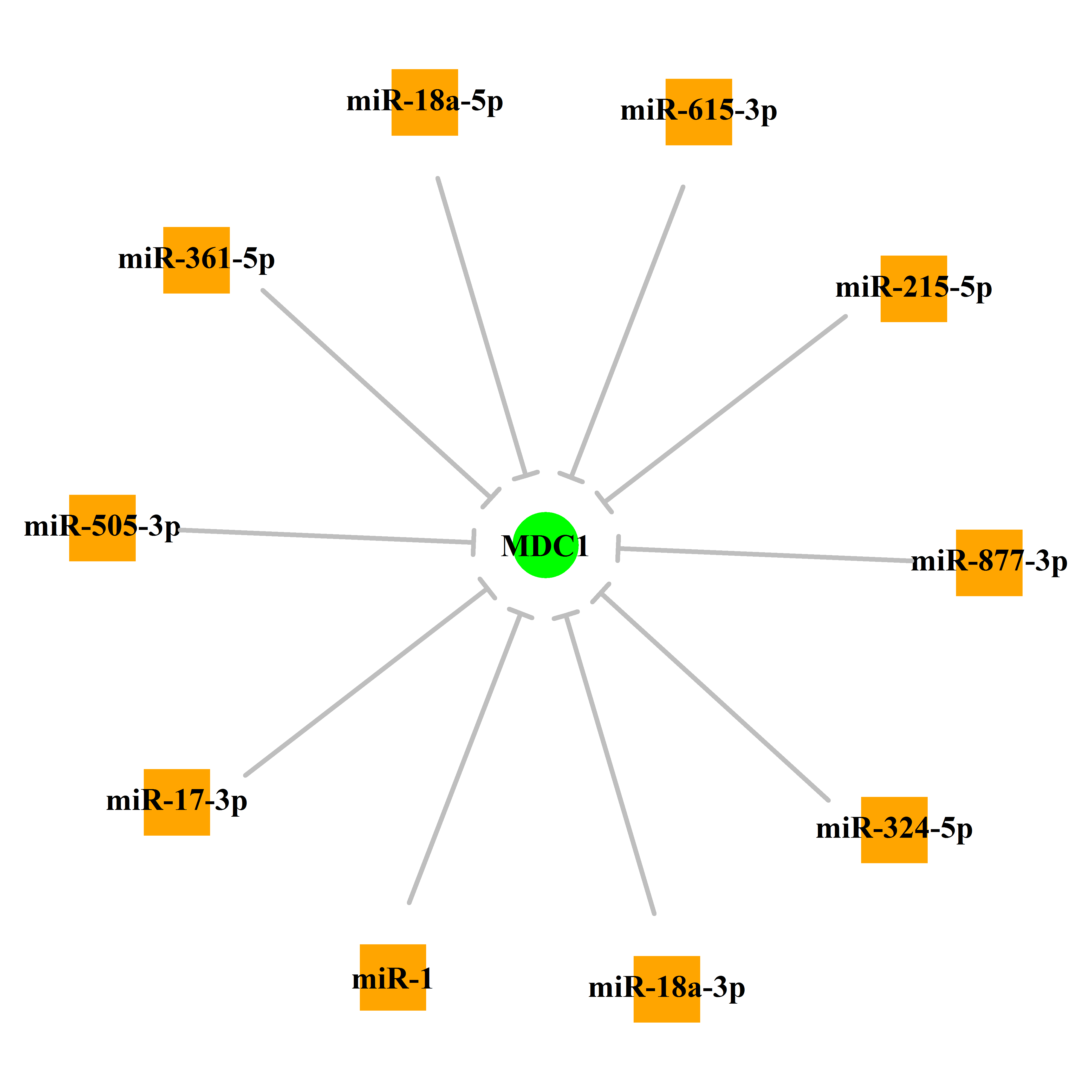 Experimentally validated miRNA-TS gene regulation information.