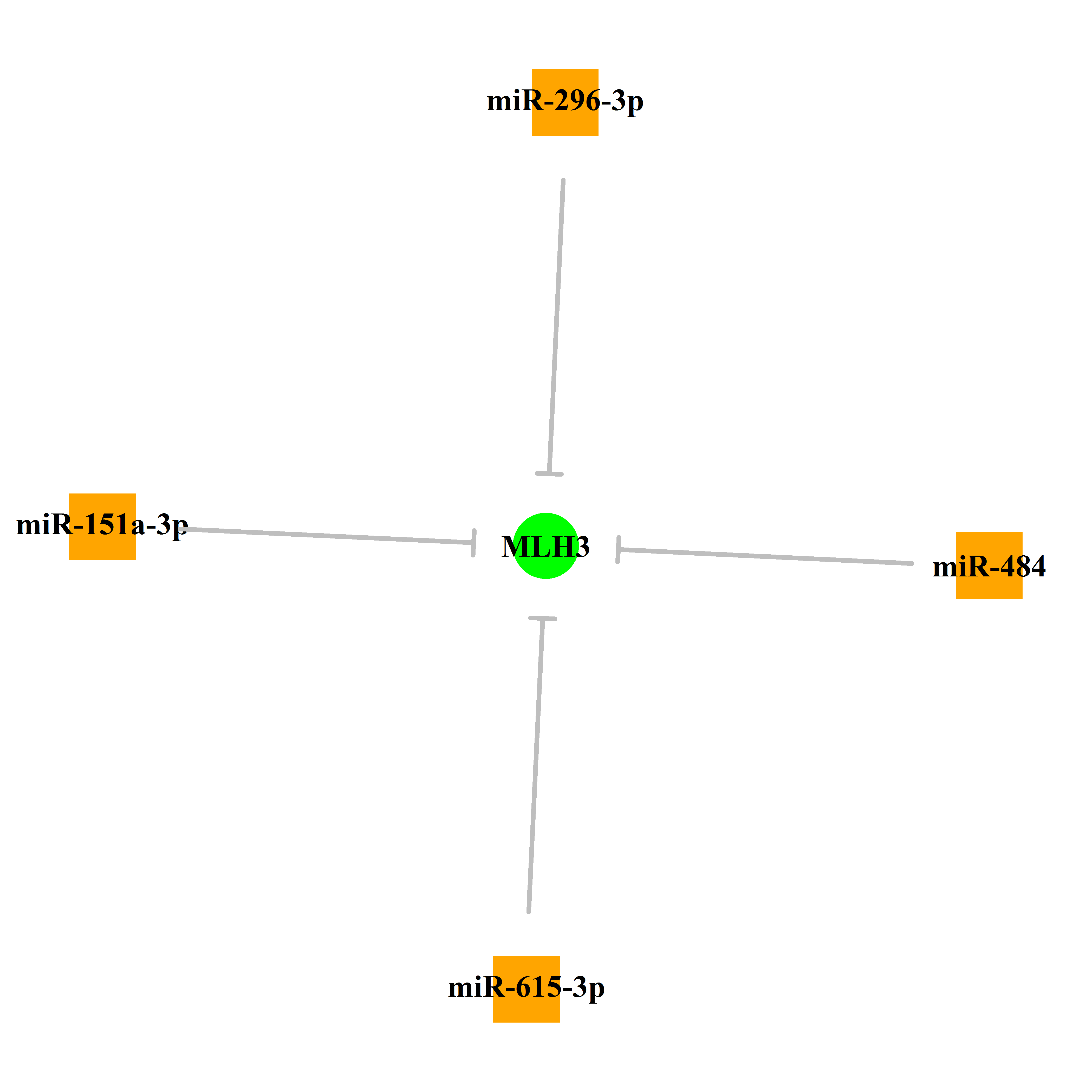 Experimentally validated miRNA-TS gene regulation information.