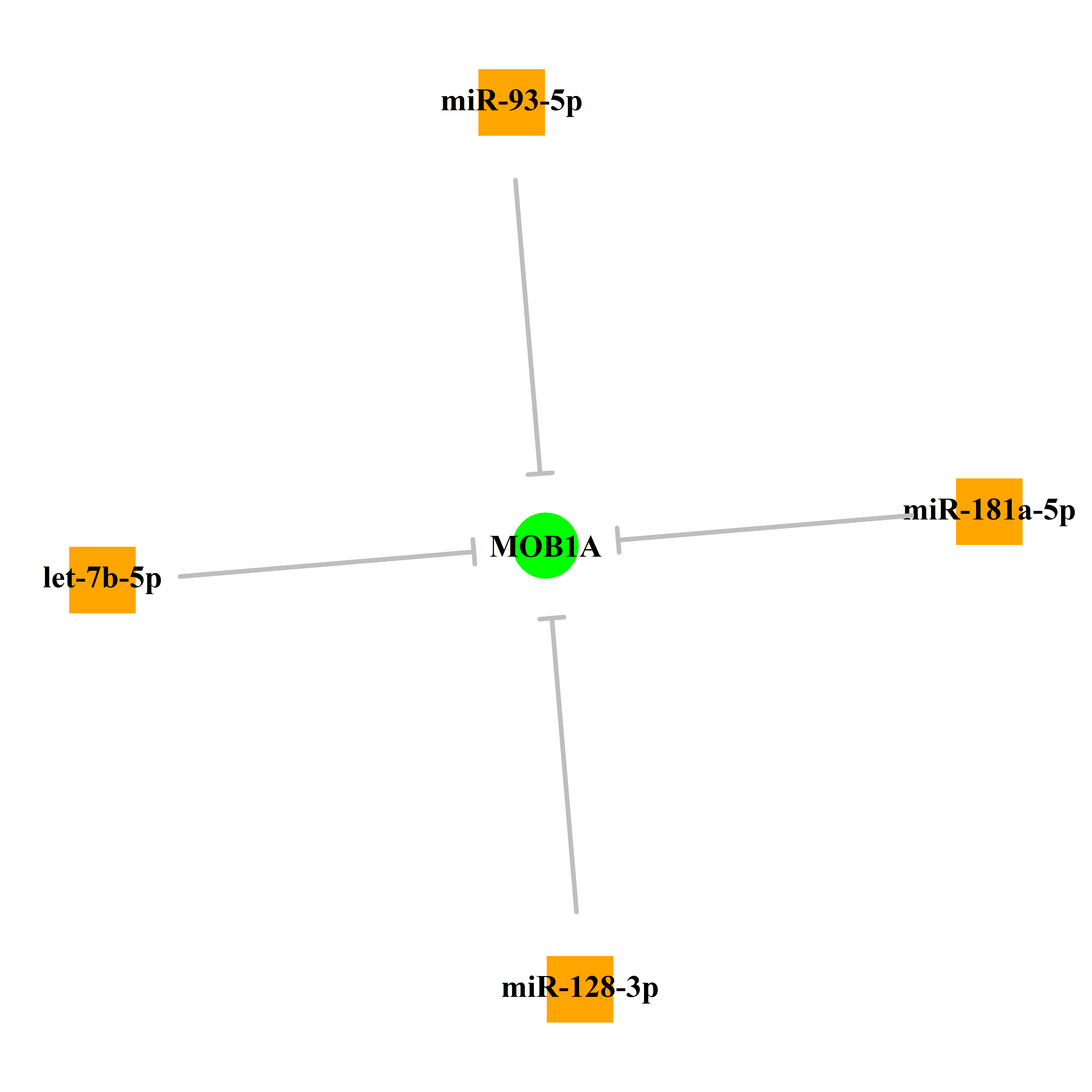 Experimentally validated miRNA-TS gene regulation information.