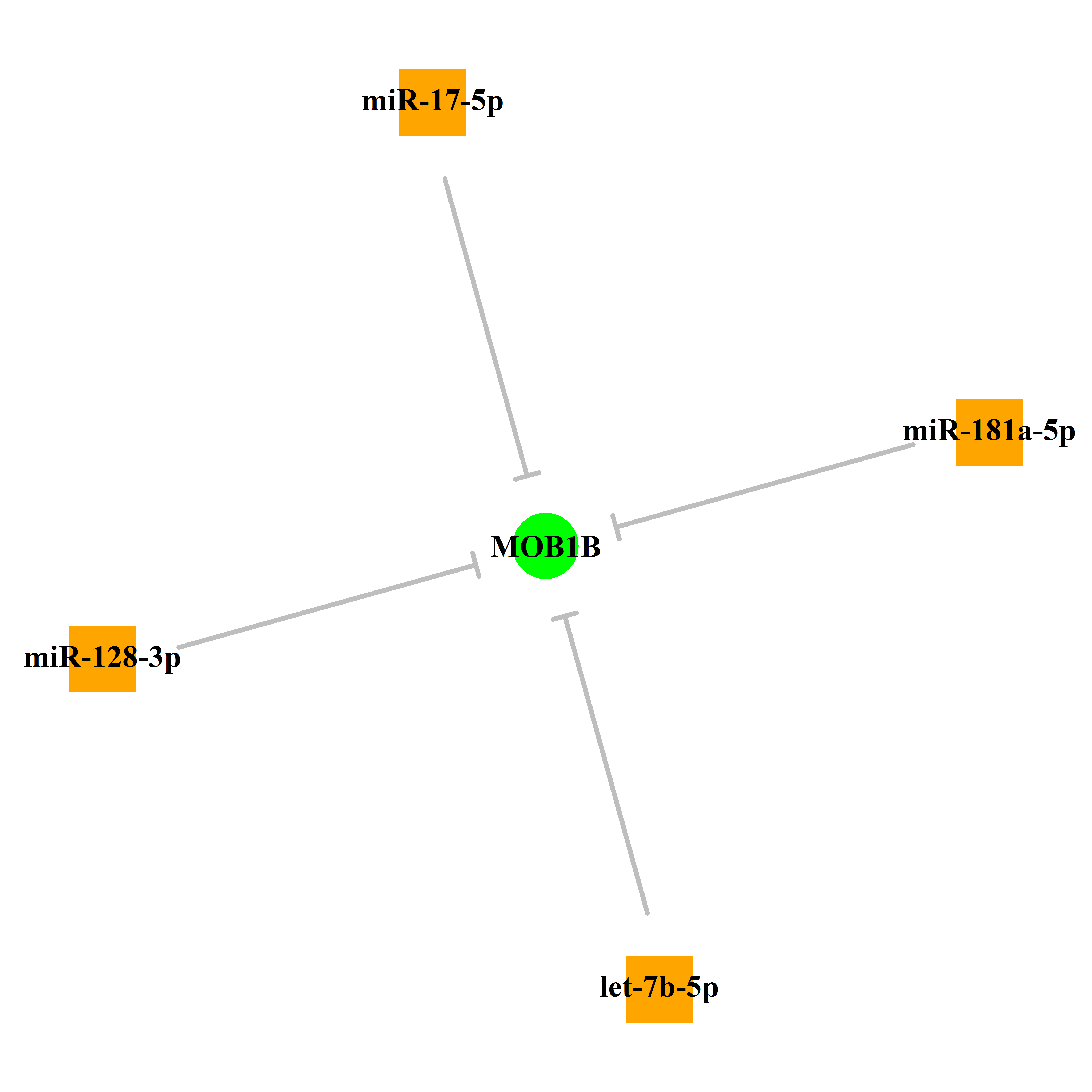 Experimentally validated miRNA-TS gene regulation information.