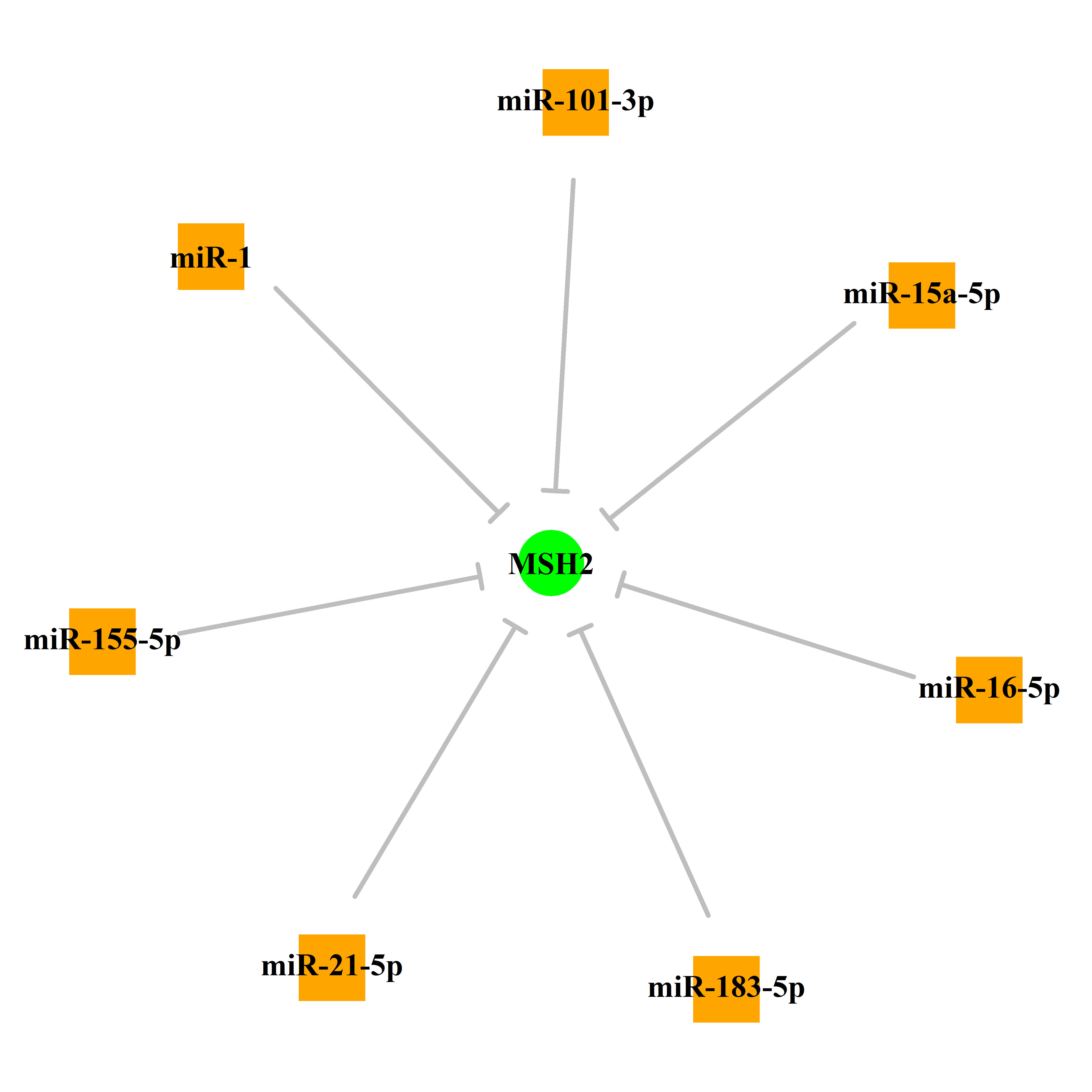 Experimentally validated miRNA-TS gene regulation information.