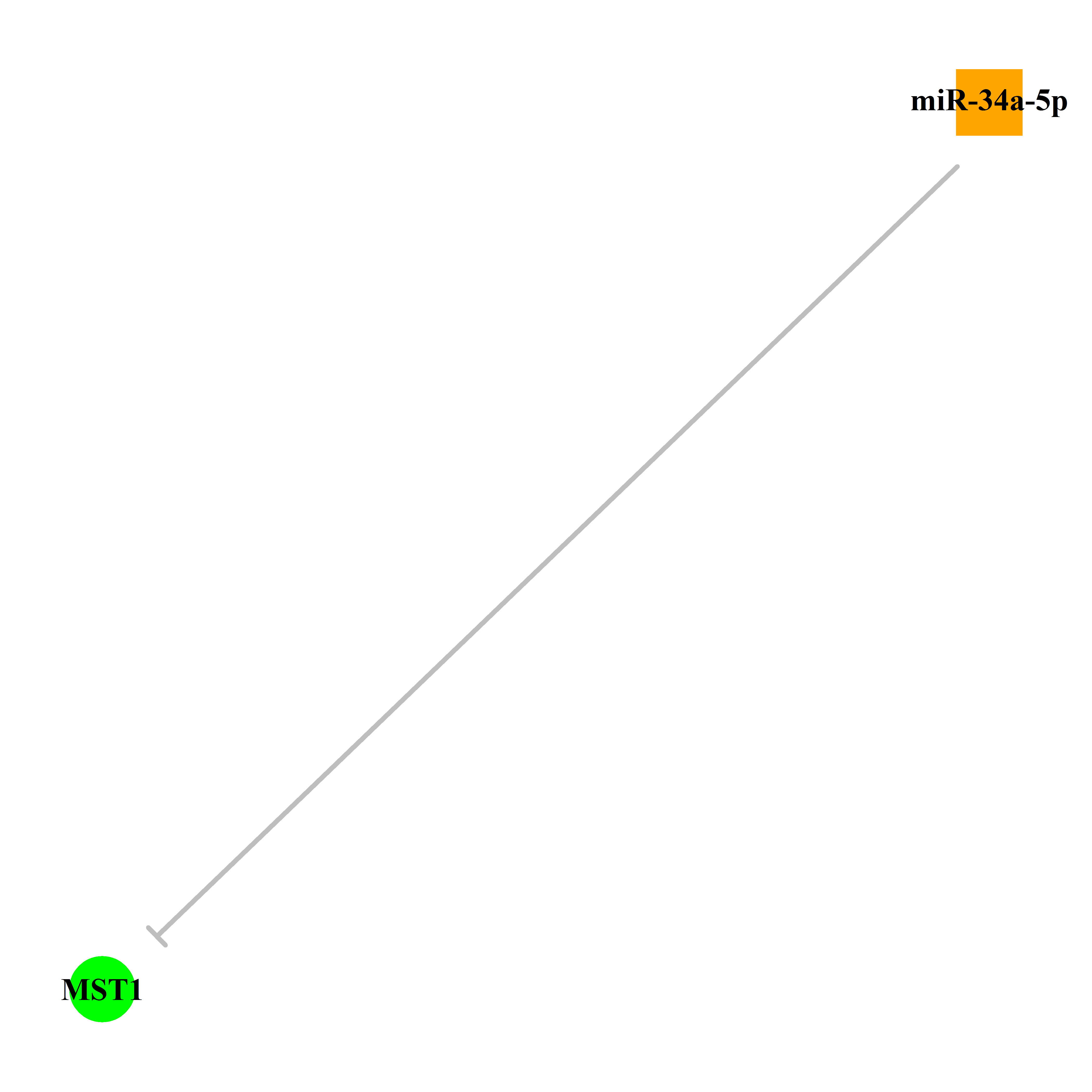 Experimentally validated miRNA-TS gene regulation information.