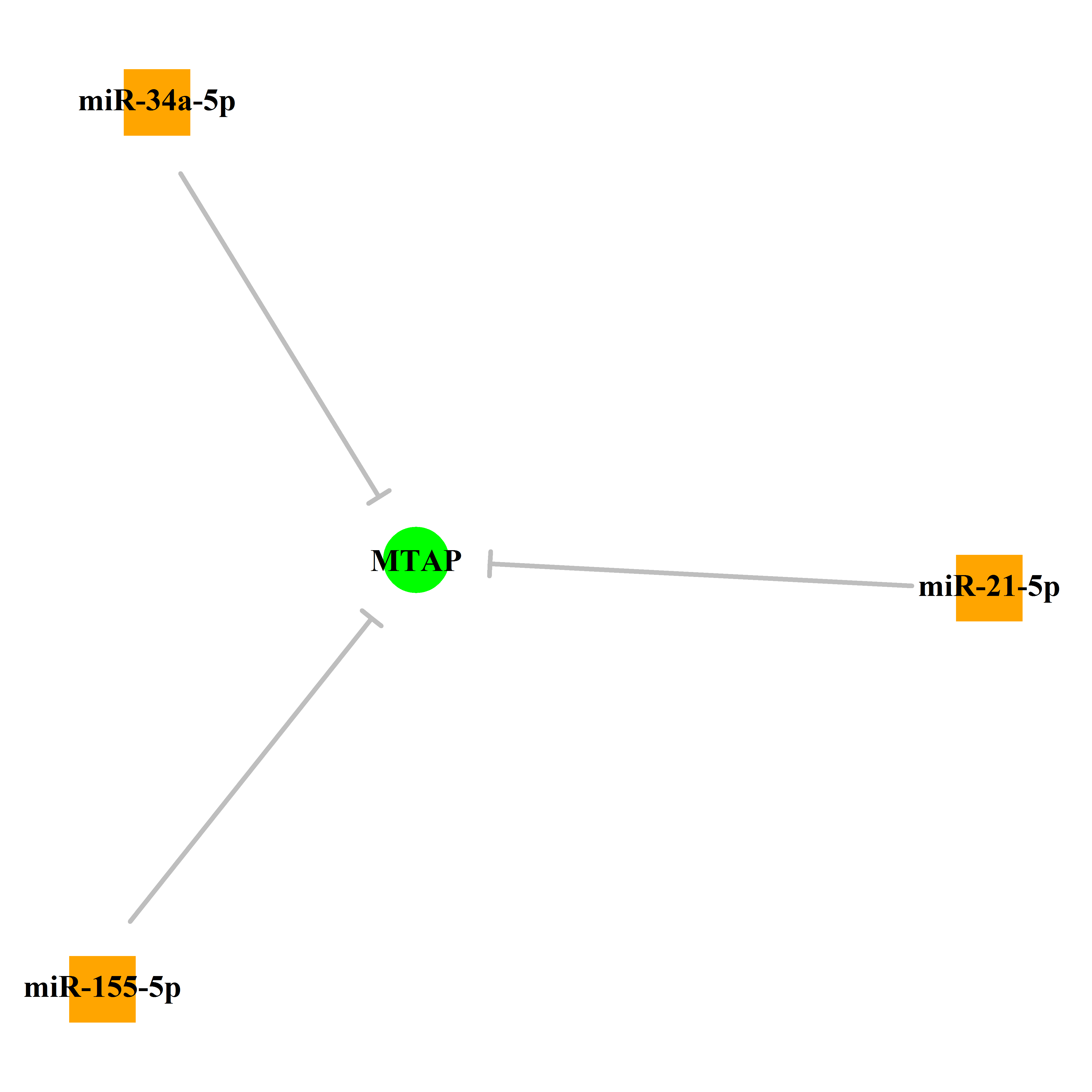 Experimentally validated miRNA-TS gene regulation information.