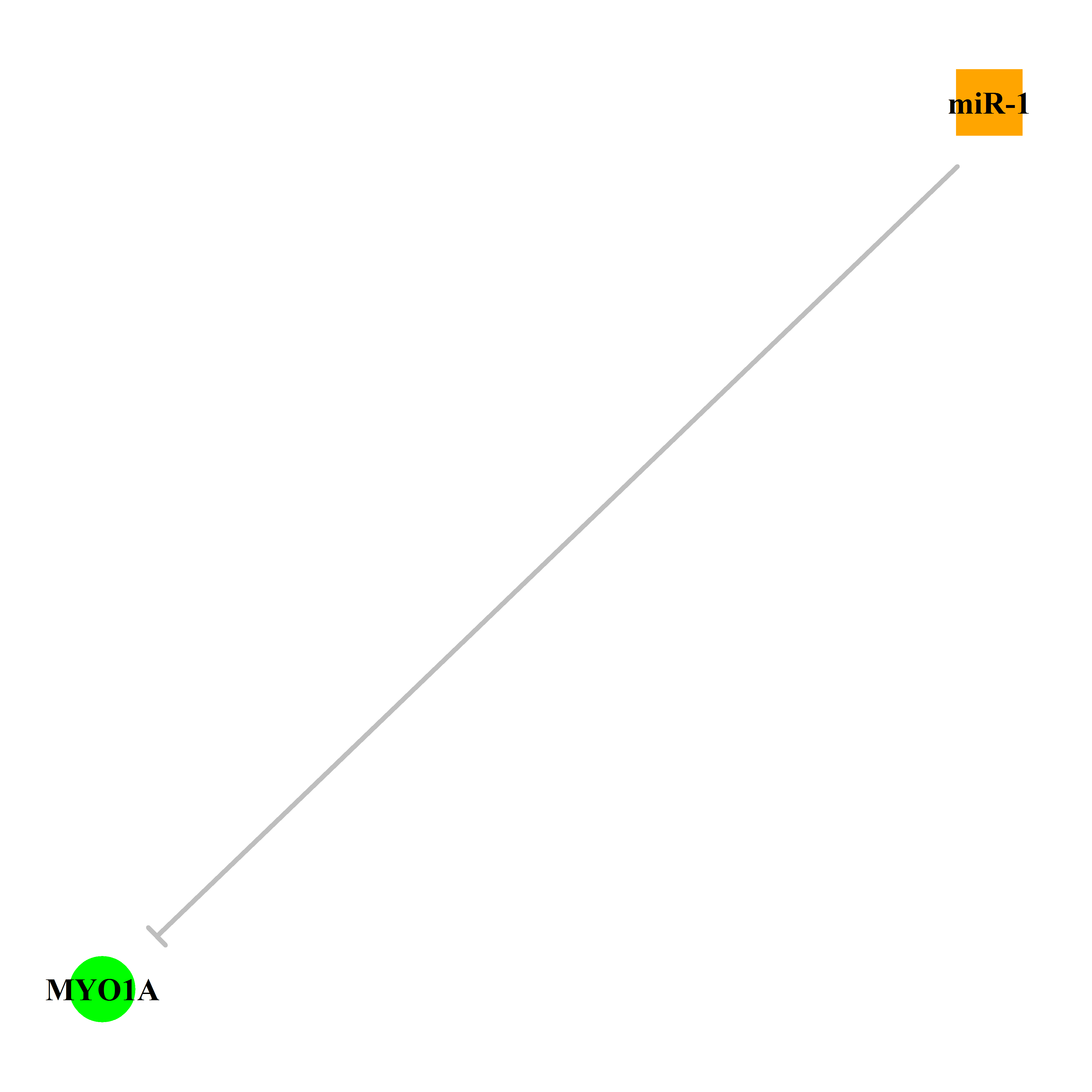 Experimentally validated miRNA-TS gene regulation information.