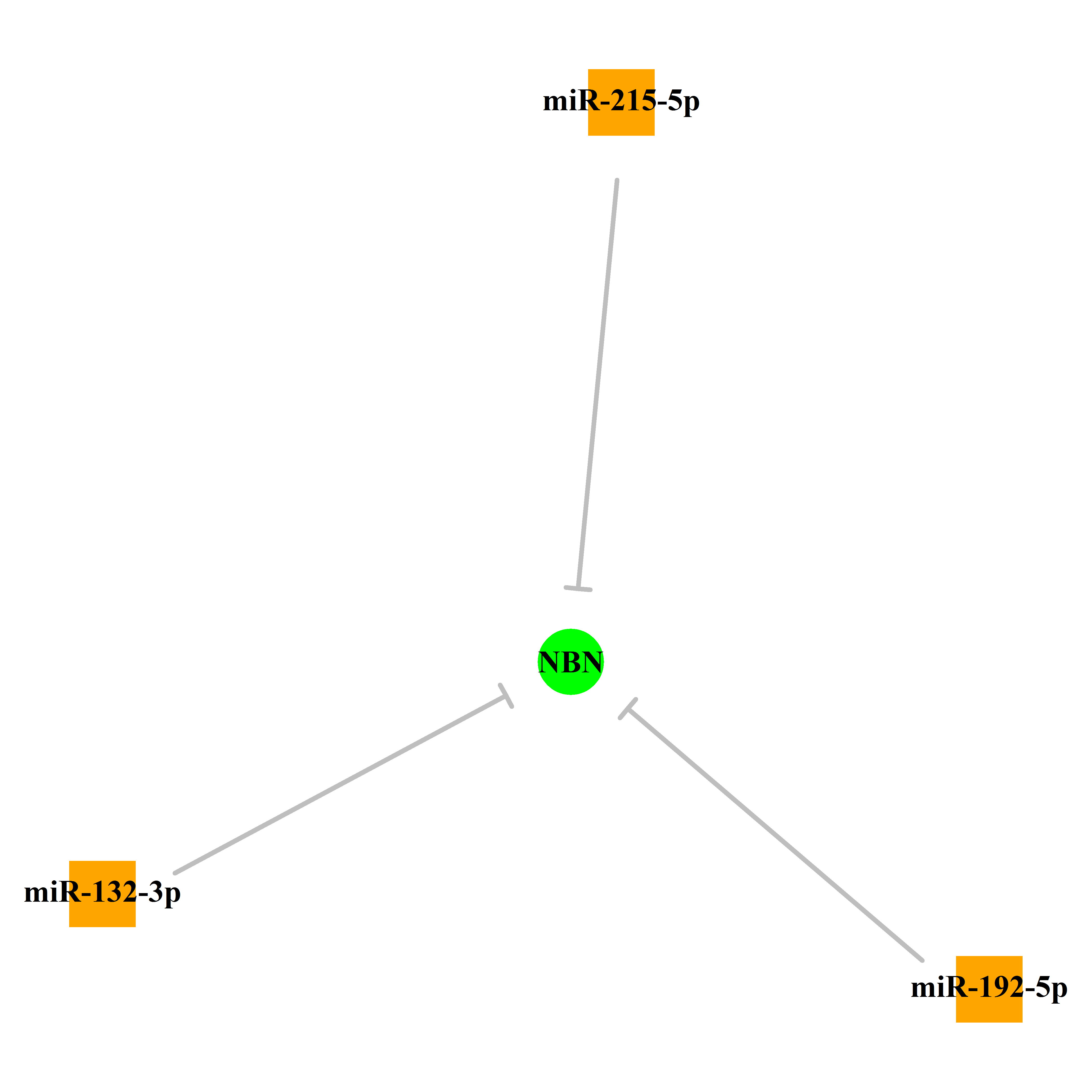 Experimentally validated miRNA-TS gene regulation information.