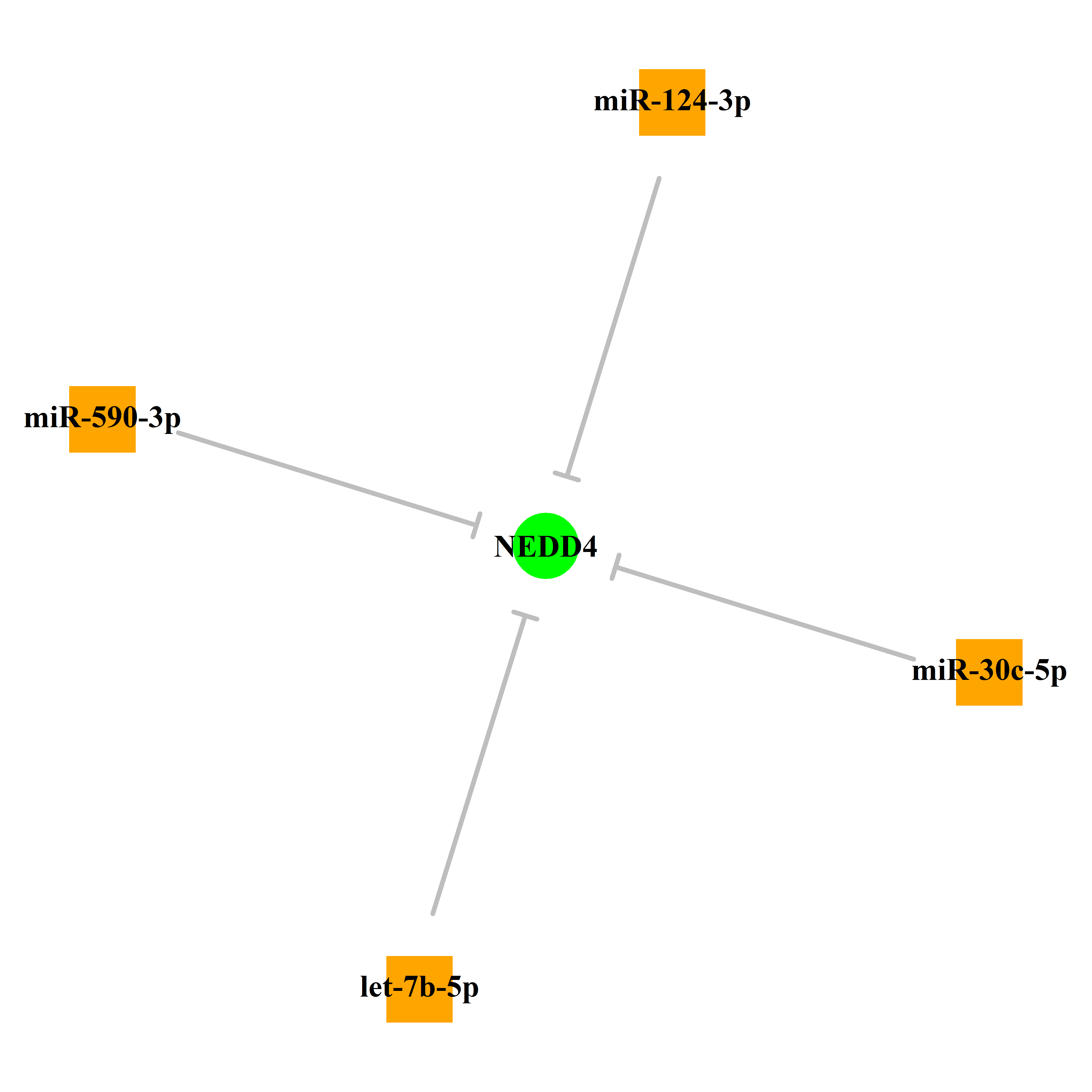 Experimentally validated miRNA-TS gene regulation information.