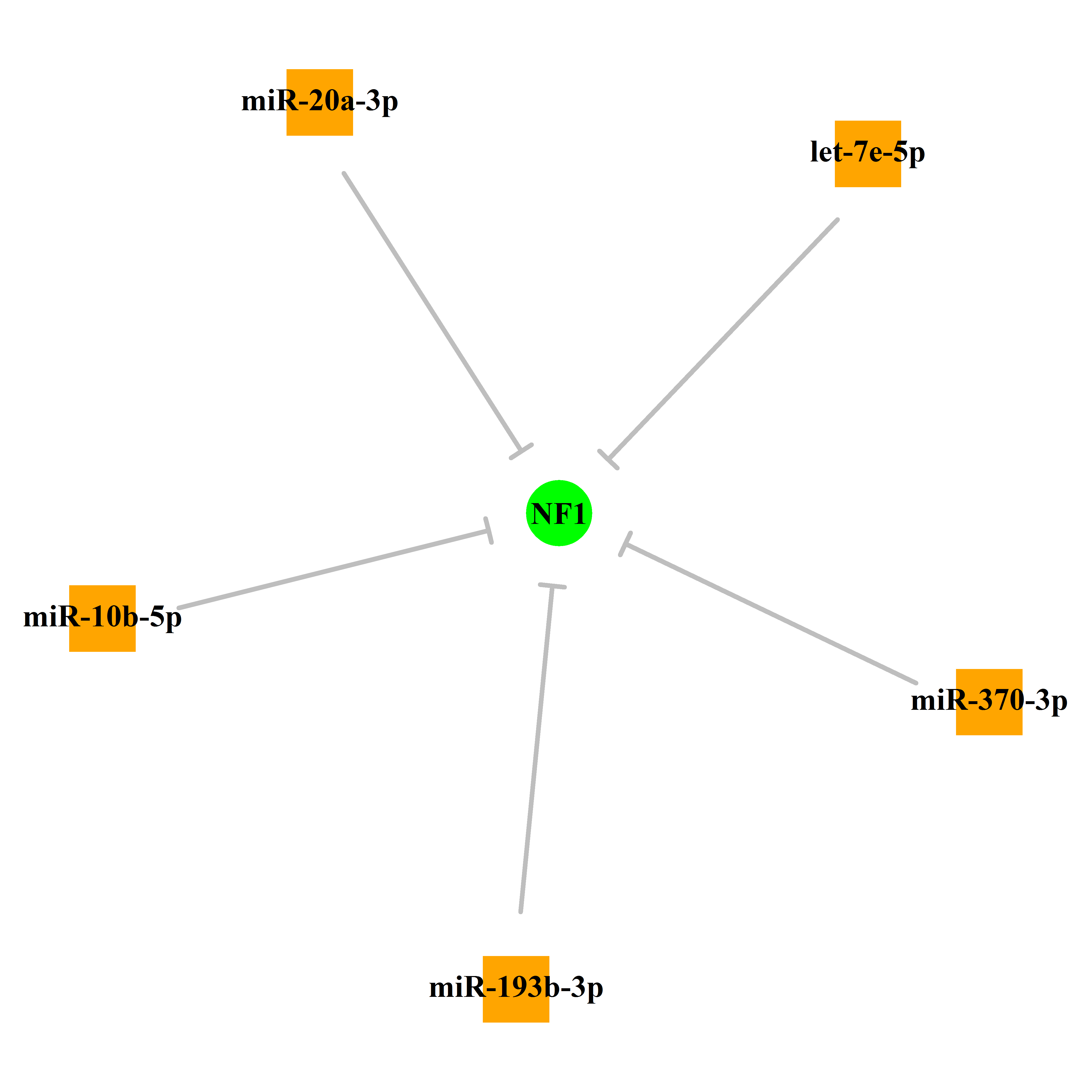 Experimentally validated miRNA-TS gene regulation information.