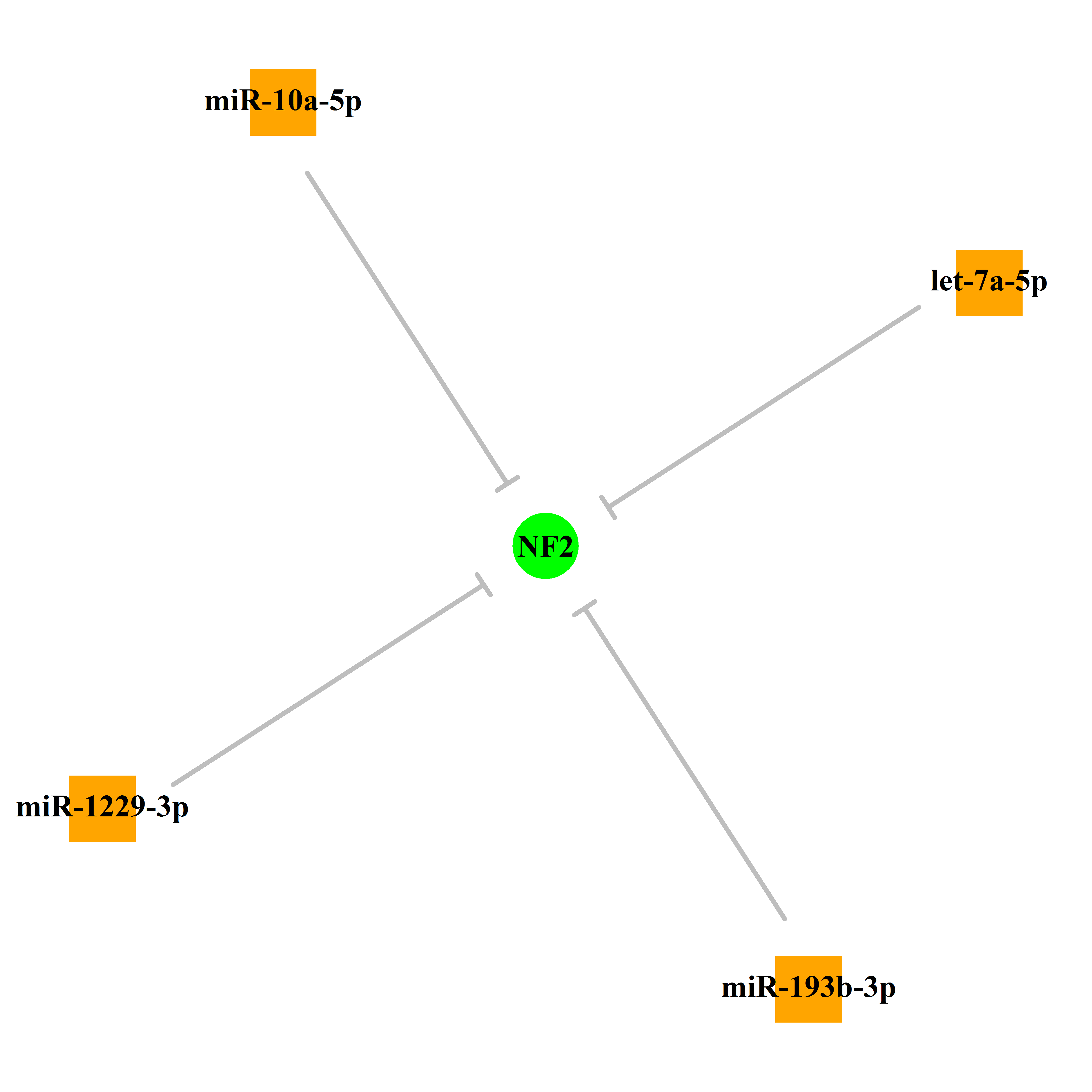 Experimentally validated miRNA-TS gene regulation information.