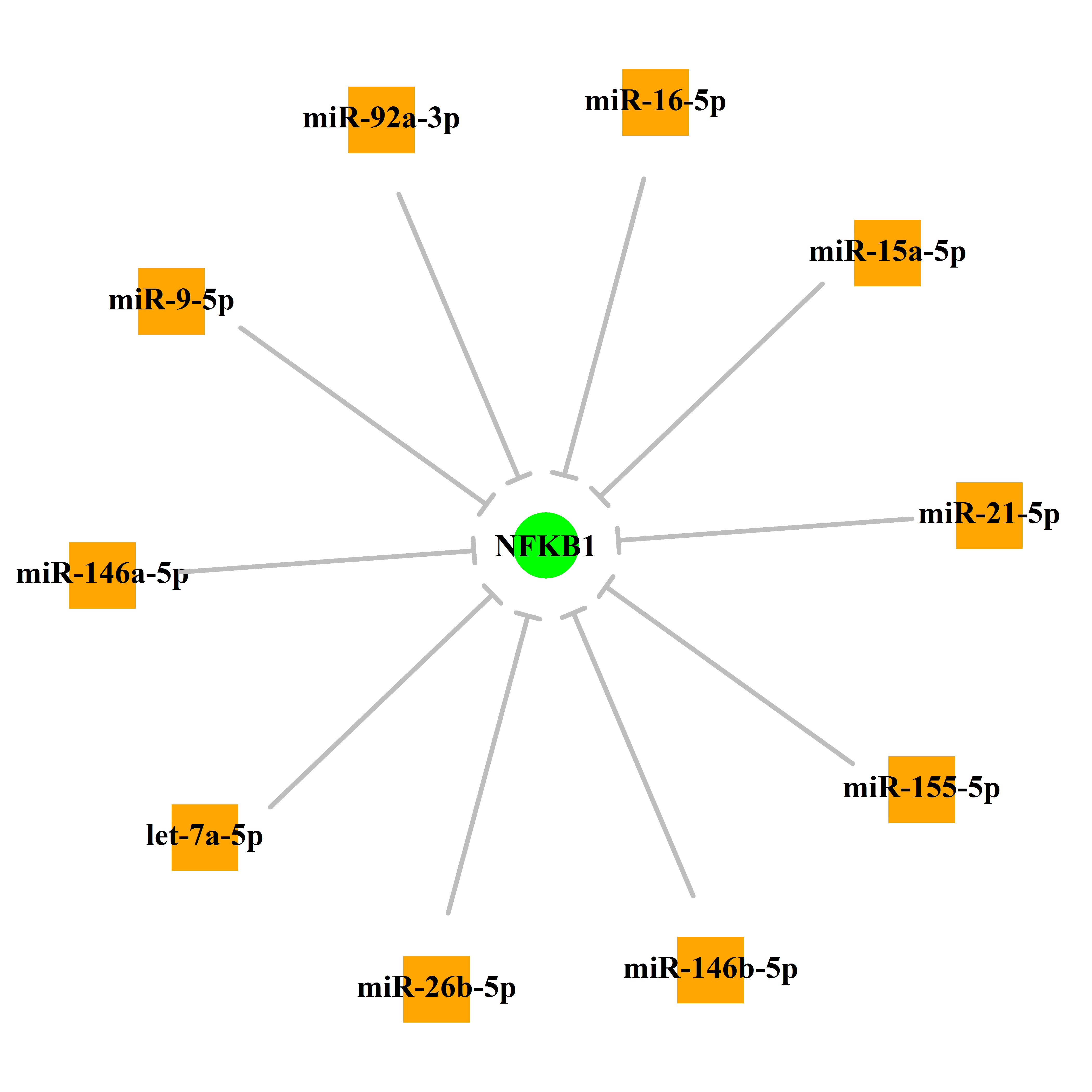 Experimentally validated miRNA-TS gene regulation information.