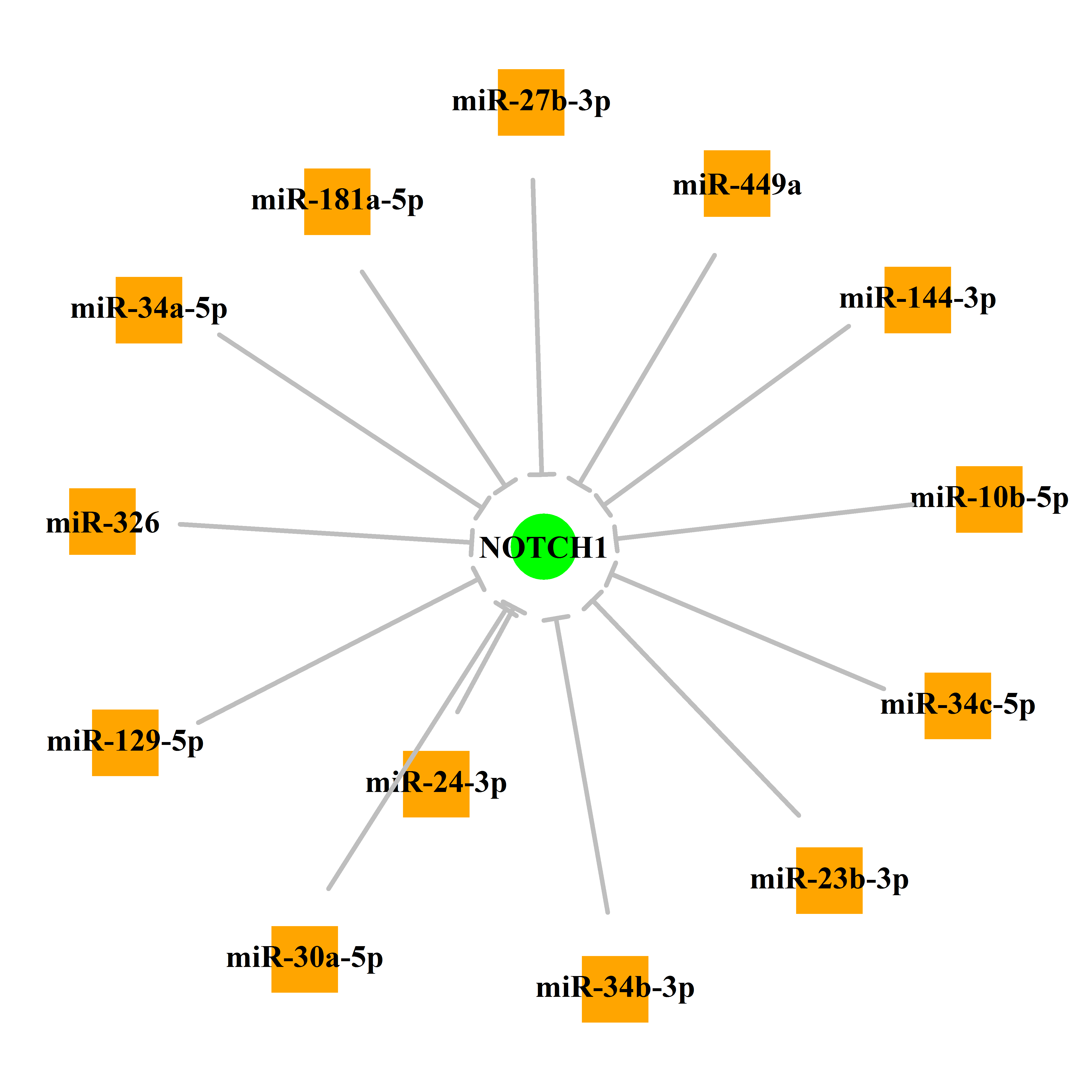 Experimentally validated miRNA-TS gene regulation information.