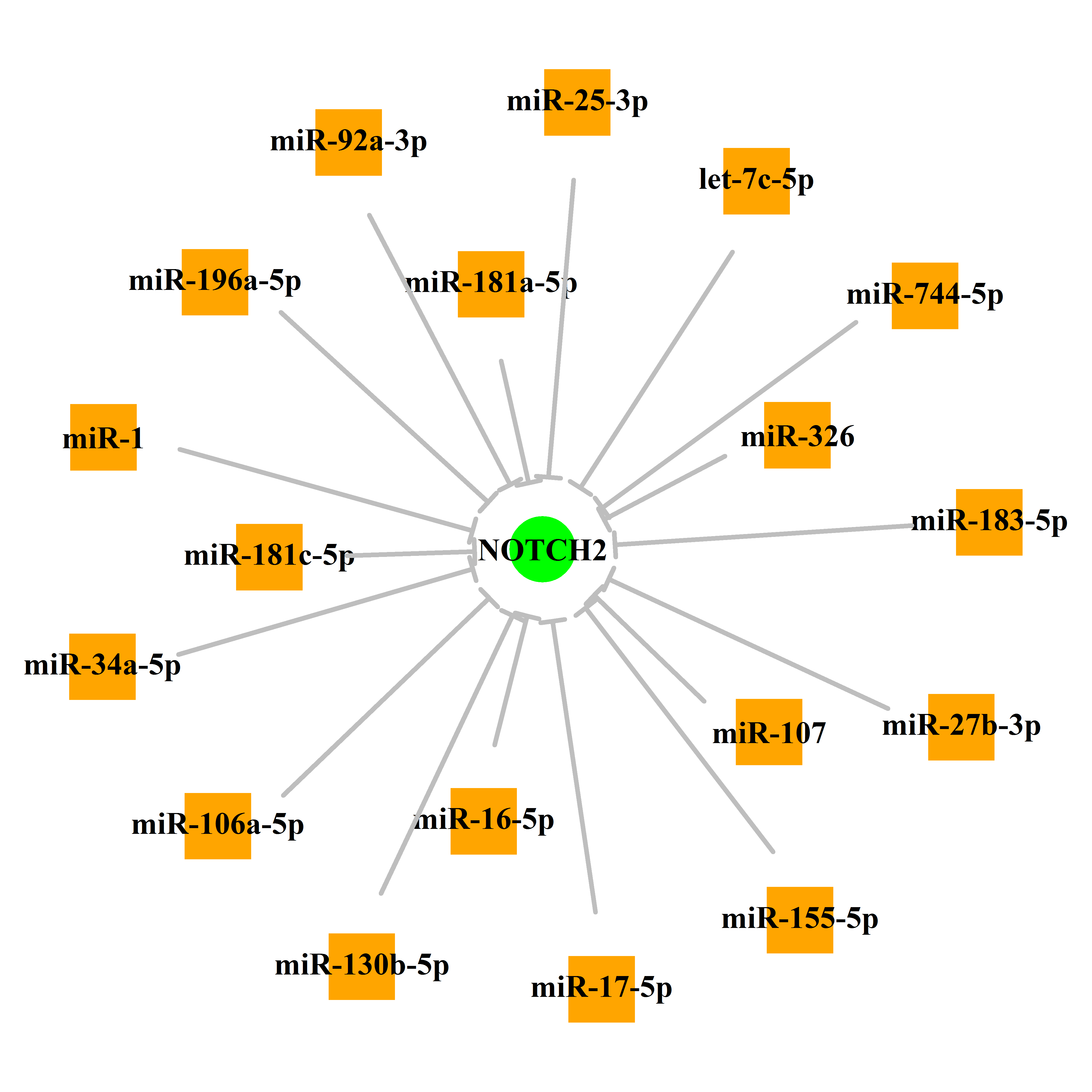 Experimentally validated miRNA-TS gene regulation information.