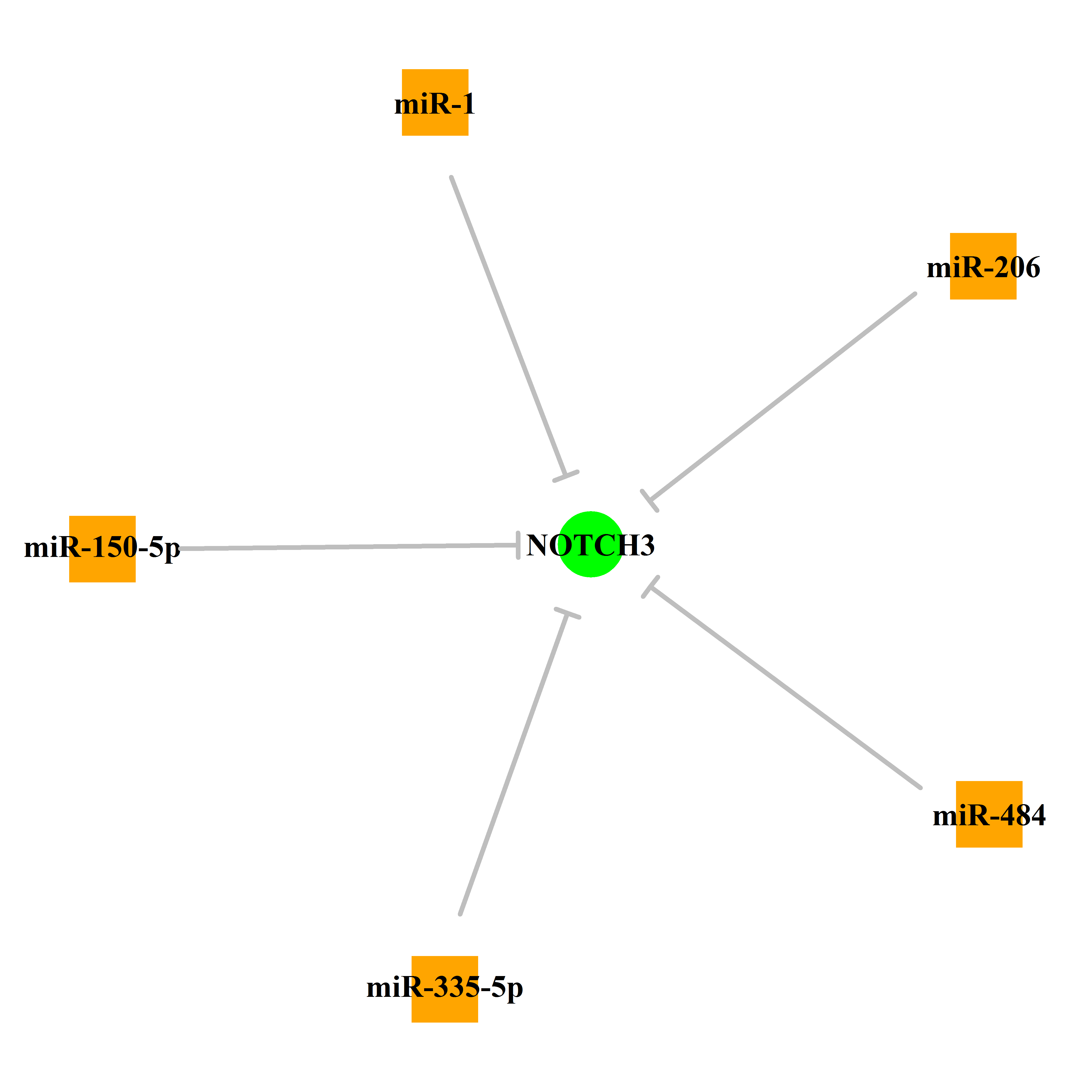 Experimentally validated miRNA-TS gene regulation information.