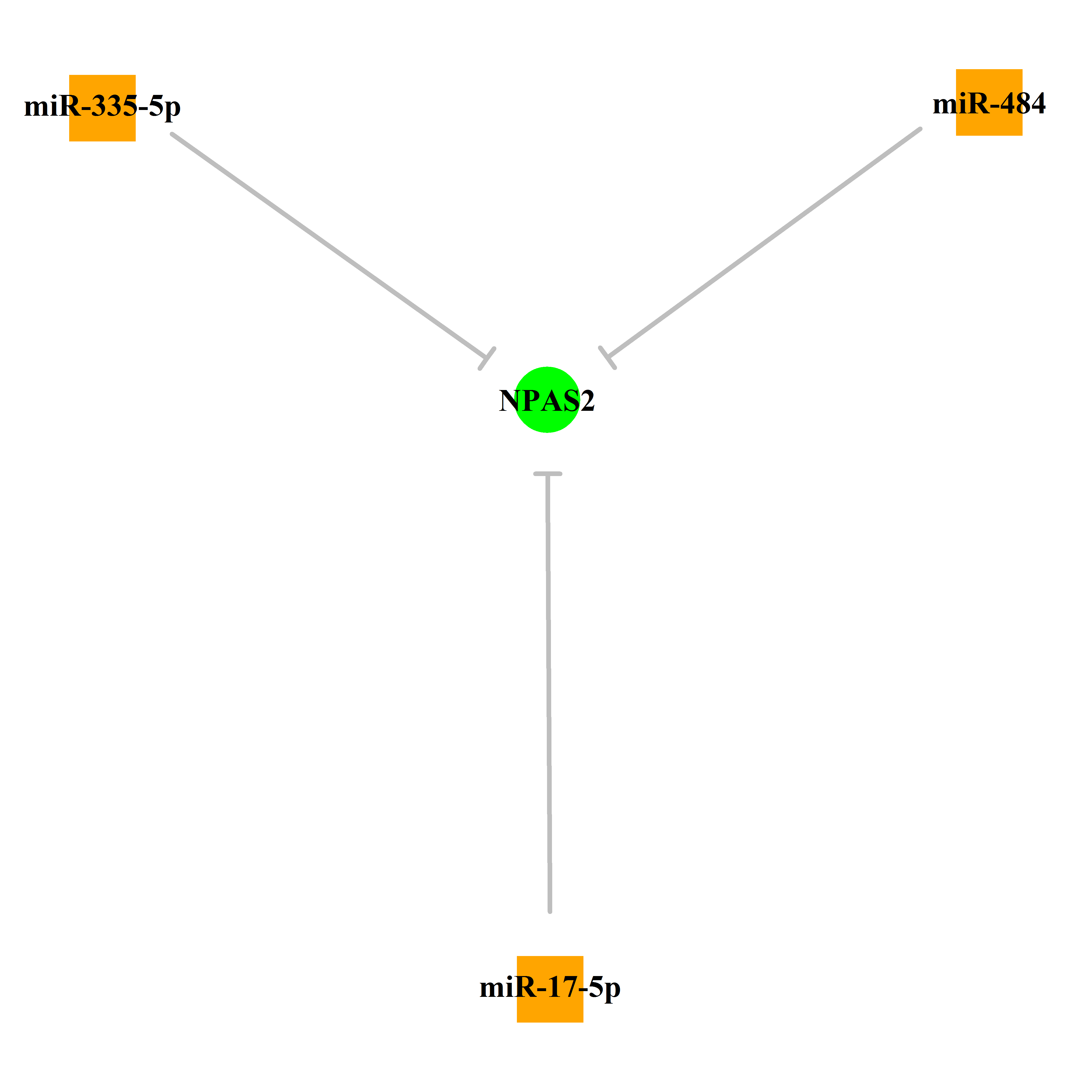 Experimentally validated miRNA-TS gene regulation information.