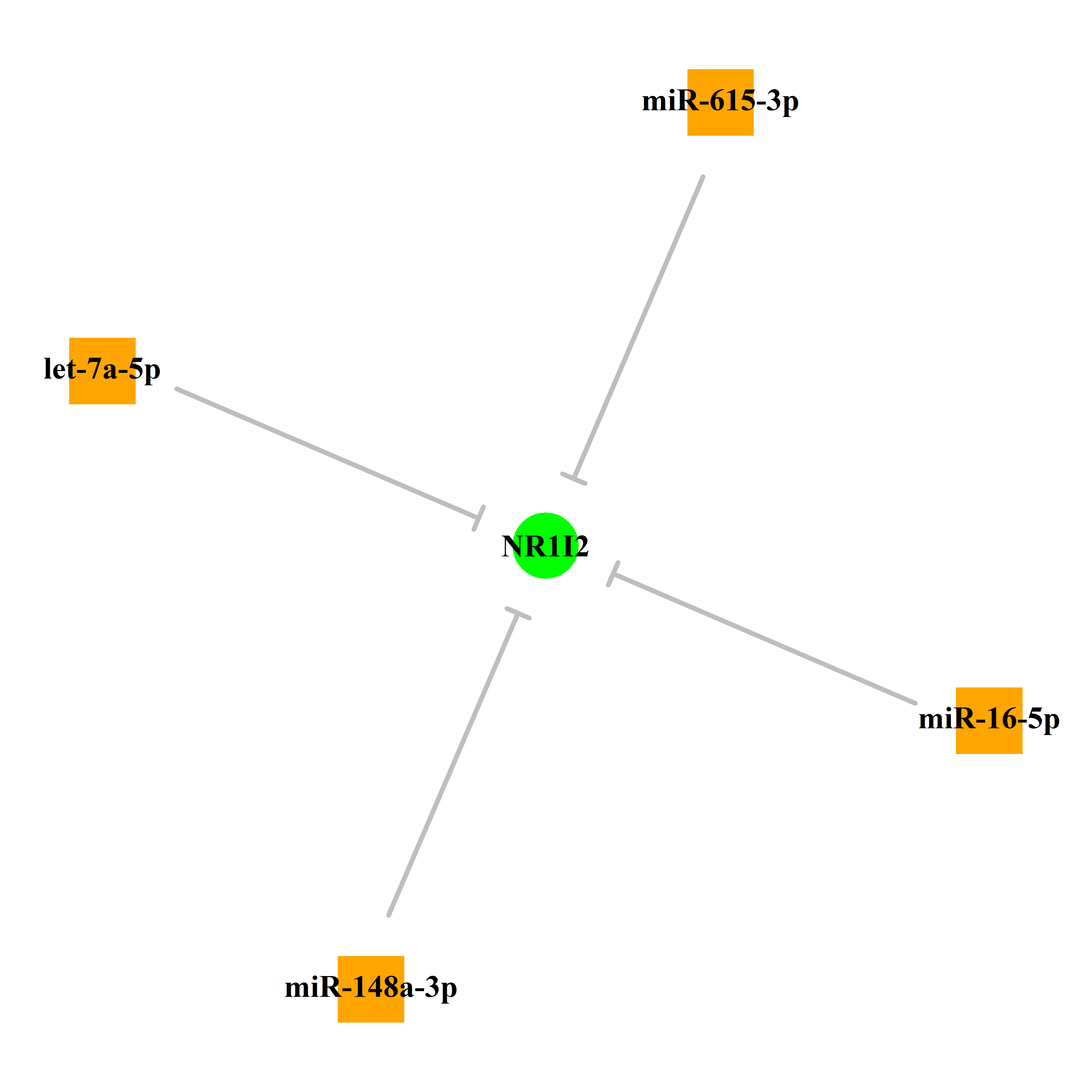 Experimentally validated miRNA-TS gene regulation information.