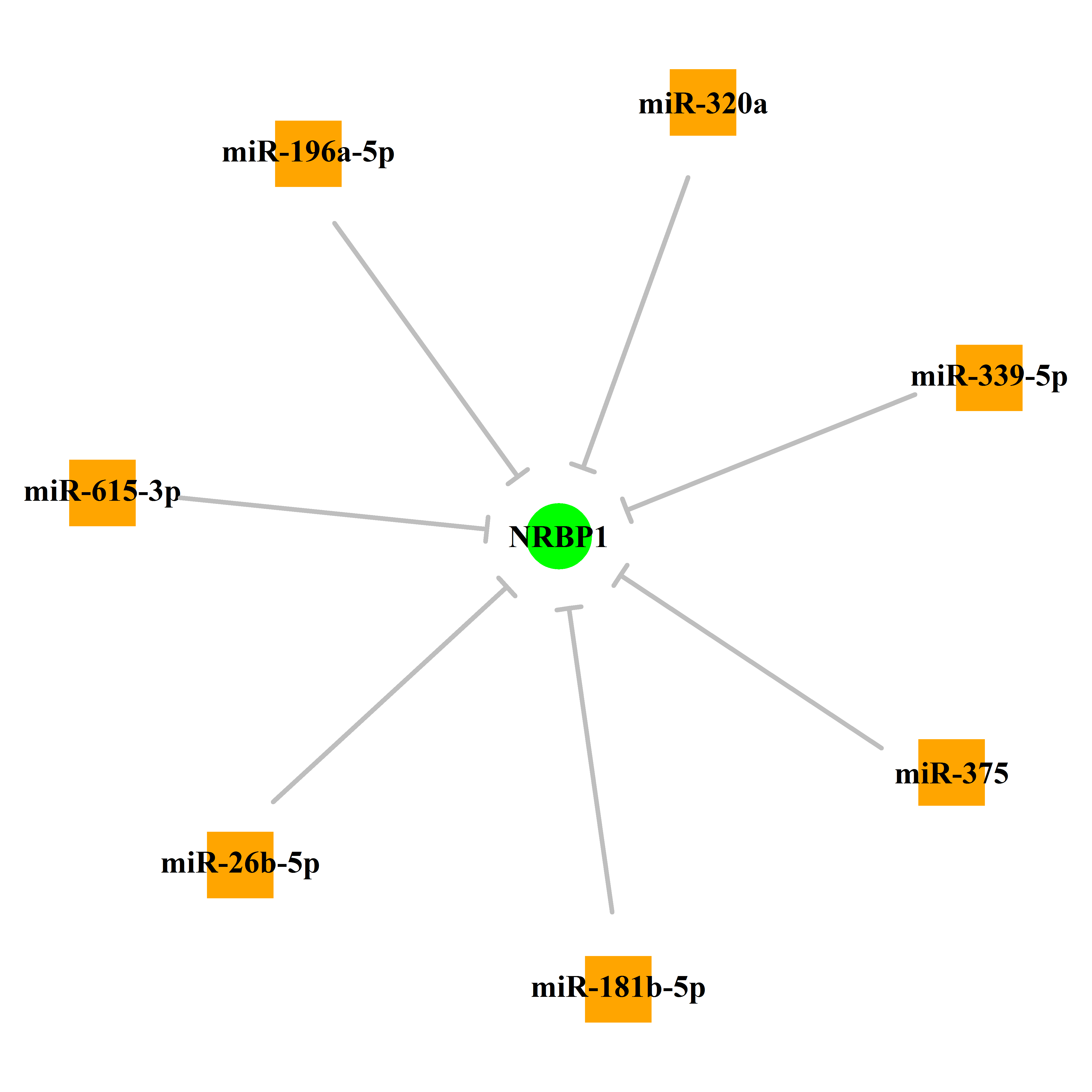 Experimentally validated miRNA-TS gene regulation information.