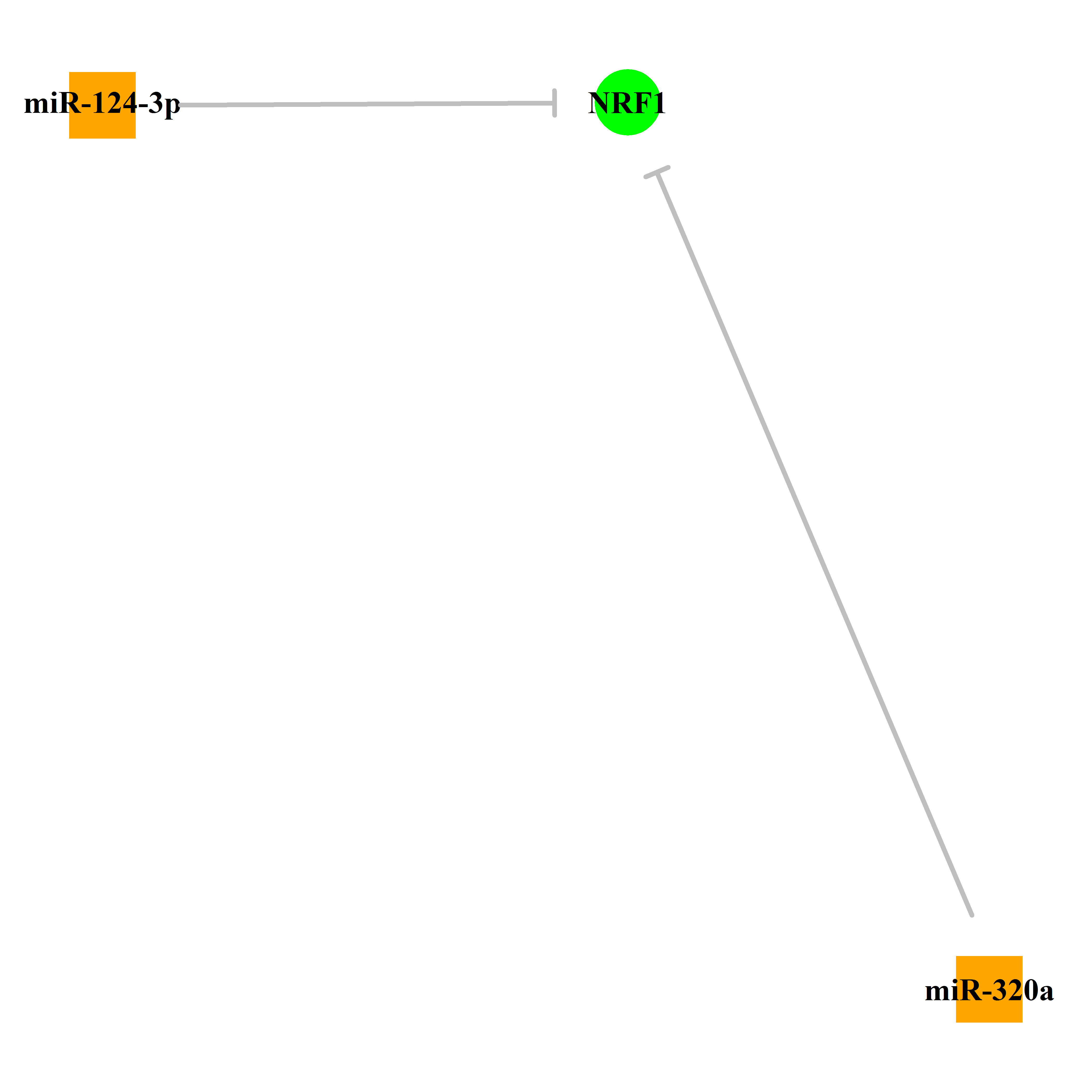 Experimentally validated miRNA-TS gene regulation information.