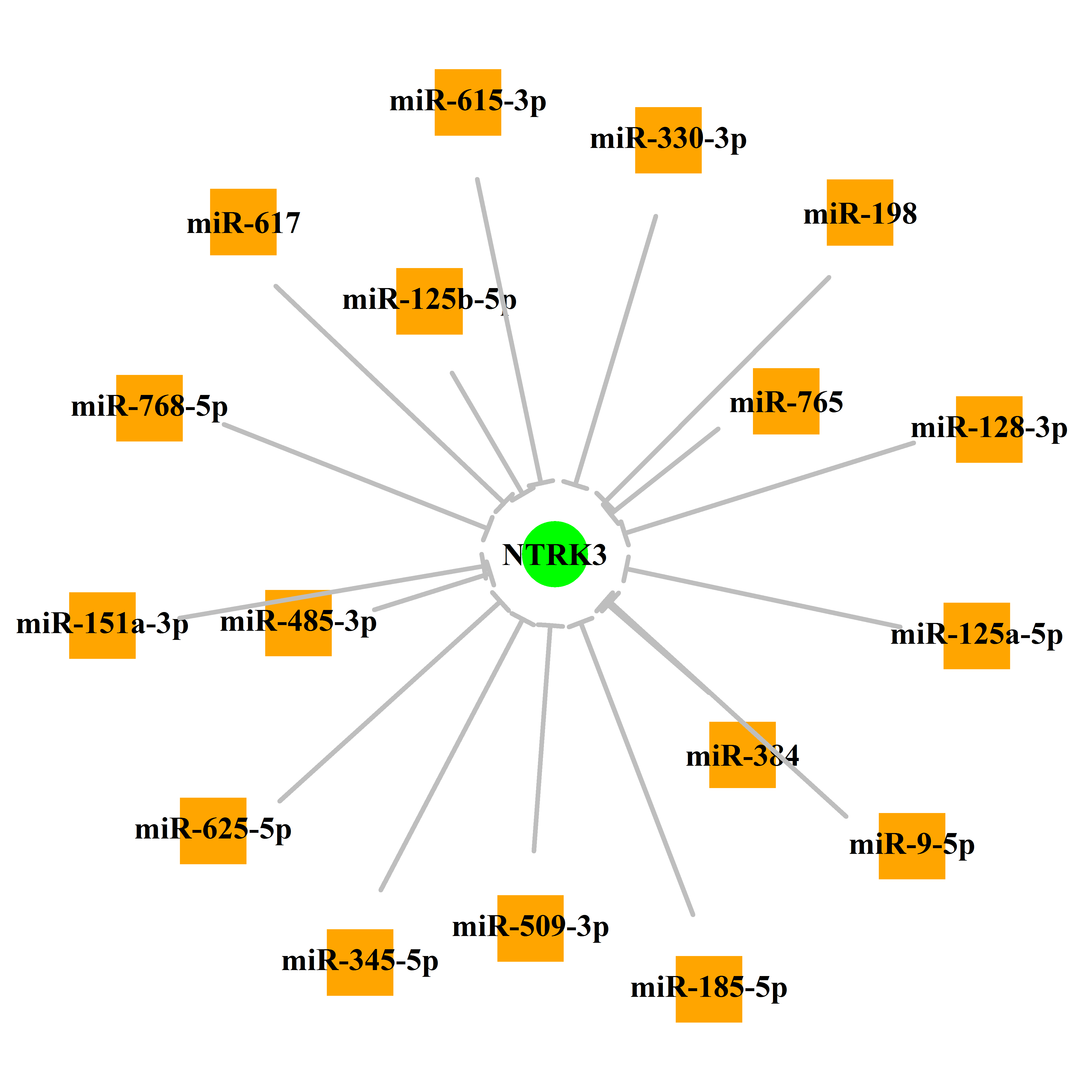 Experimentally validated miRNA-TS gene regulation information.