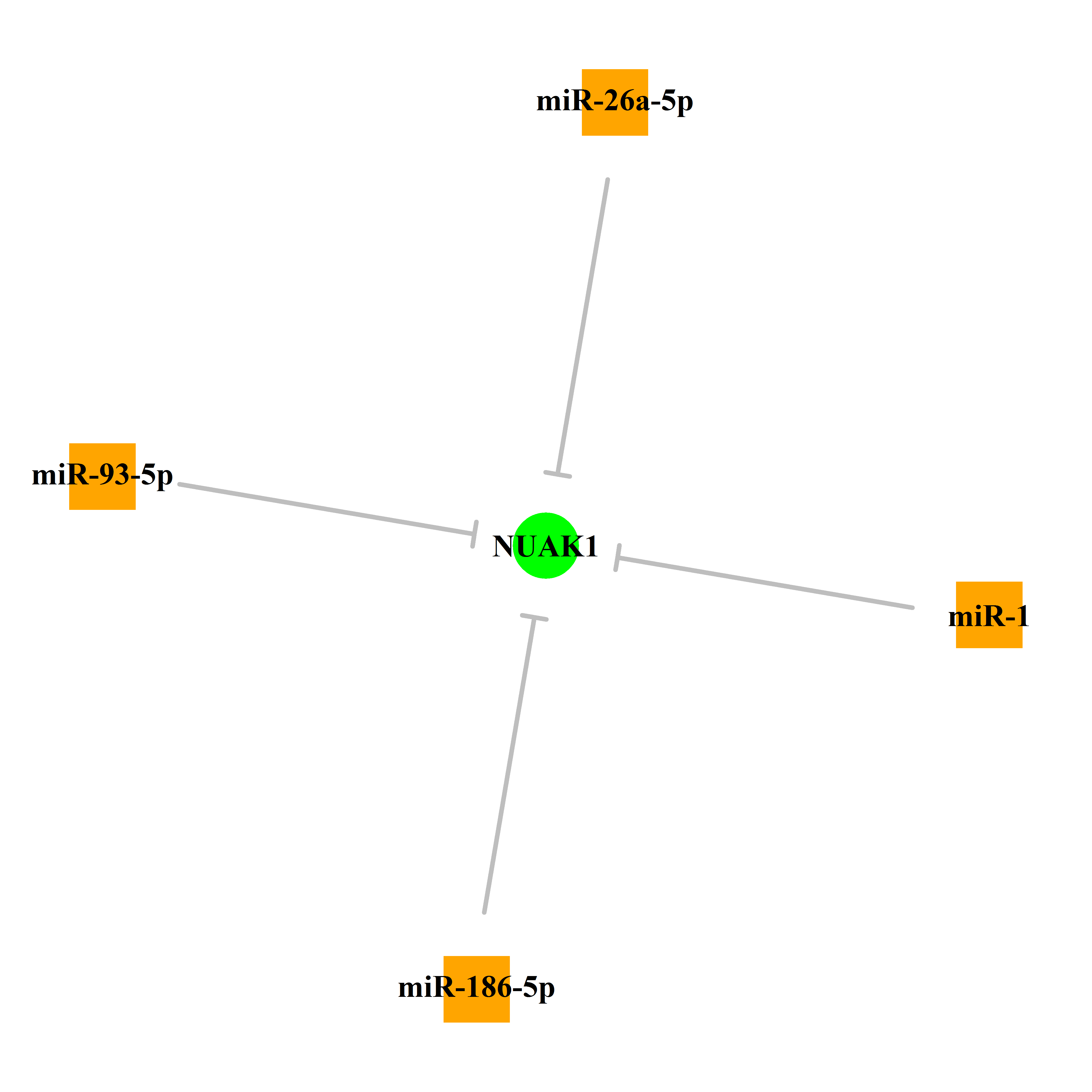 Experimentally validated miRNA-TS gene regulation information.