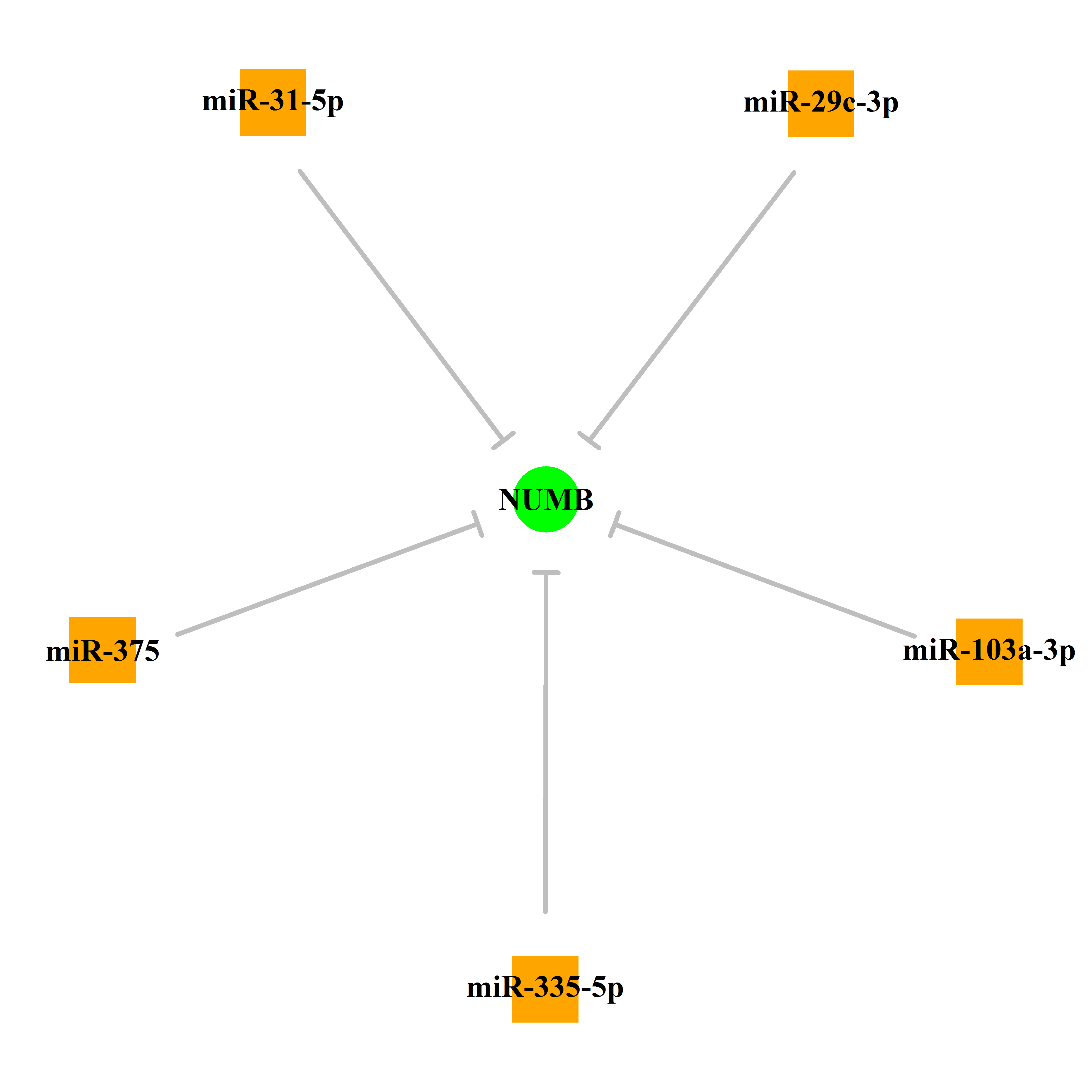 Experimentally validated miRNA-TS gene regulation information.