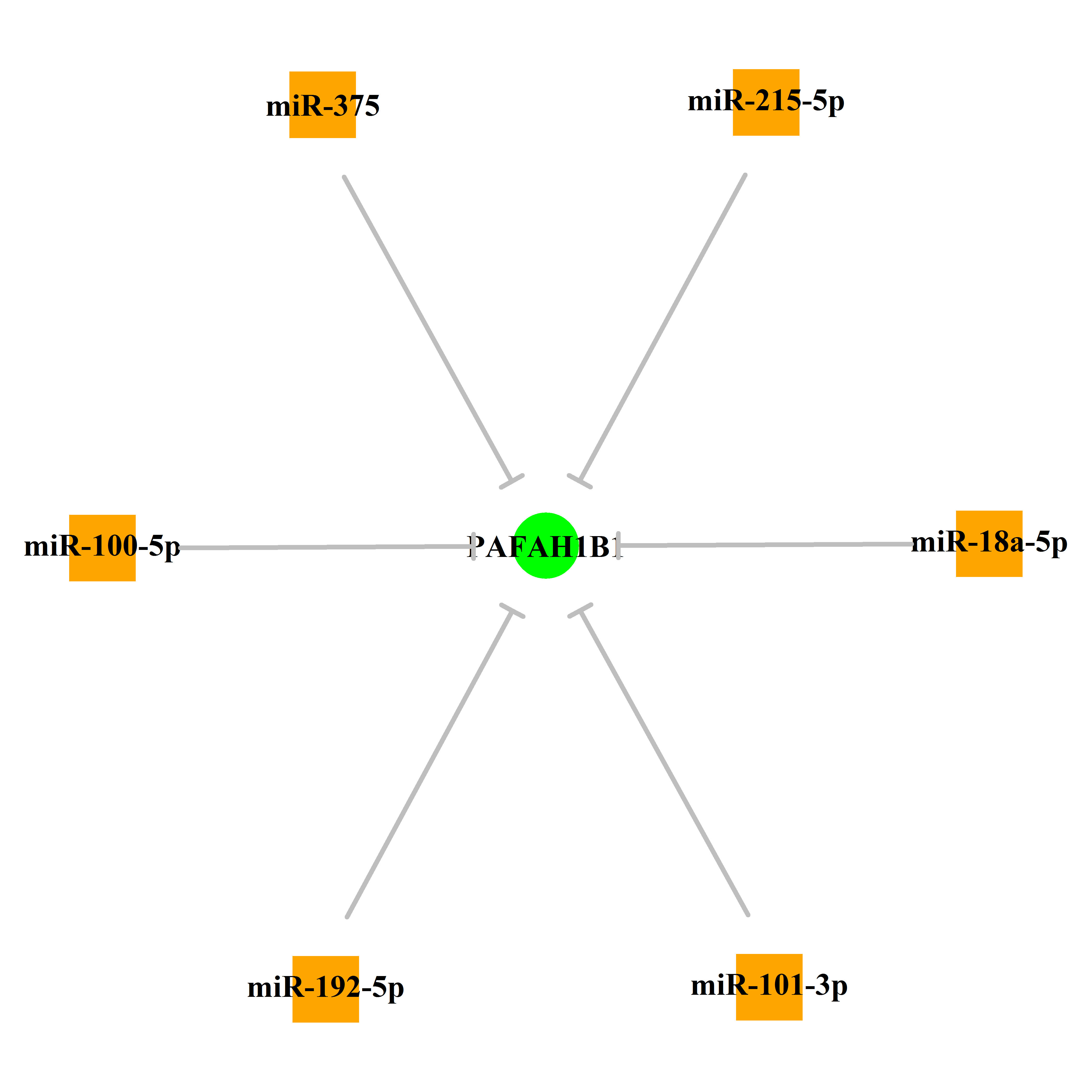 Experimentally validated miRNA-TS gene regulation information.