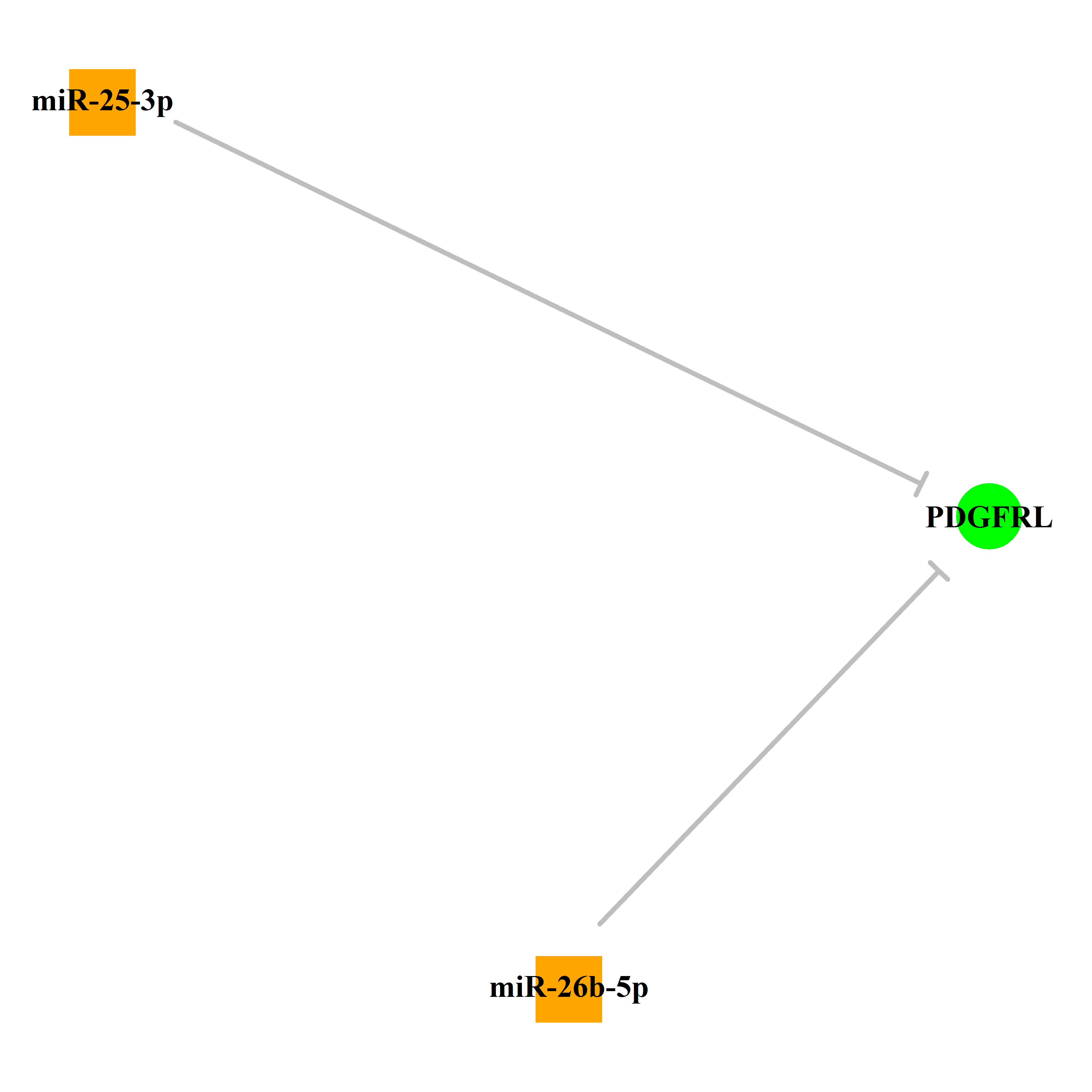 Experimentally validated miRNA-TS gene regulation information.