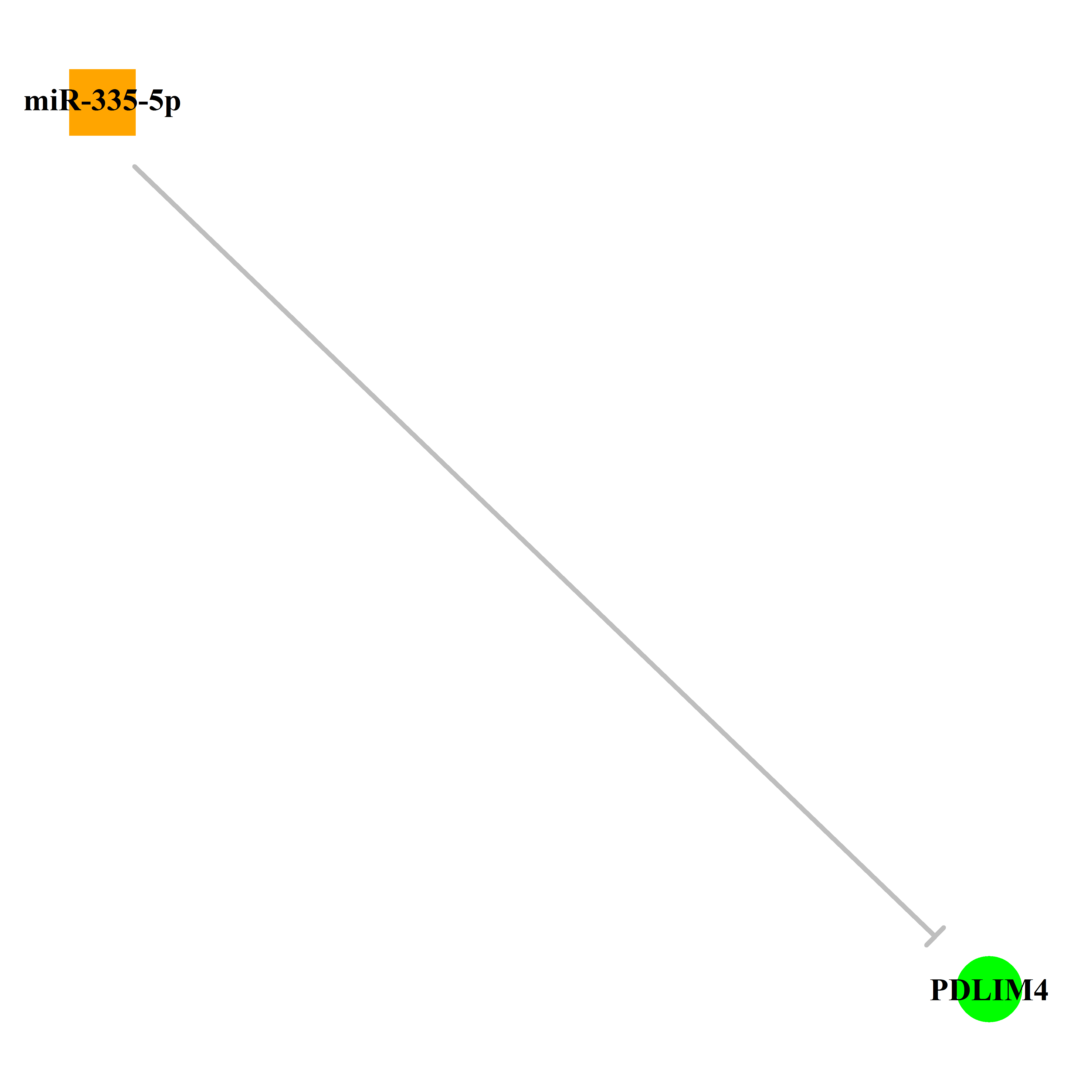 Experimentally validated miRNA-TS gene regulation information.