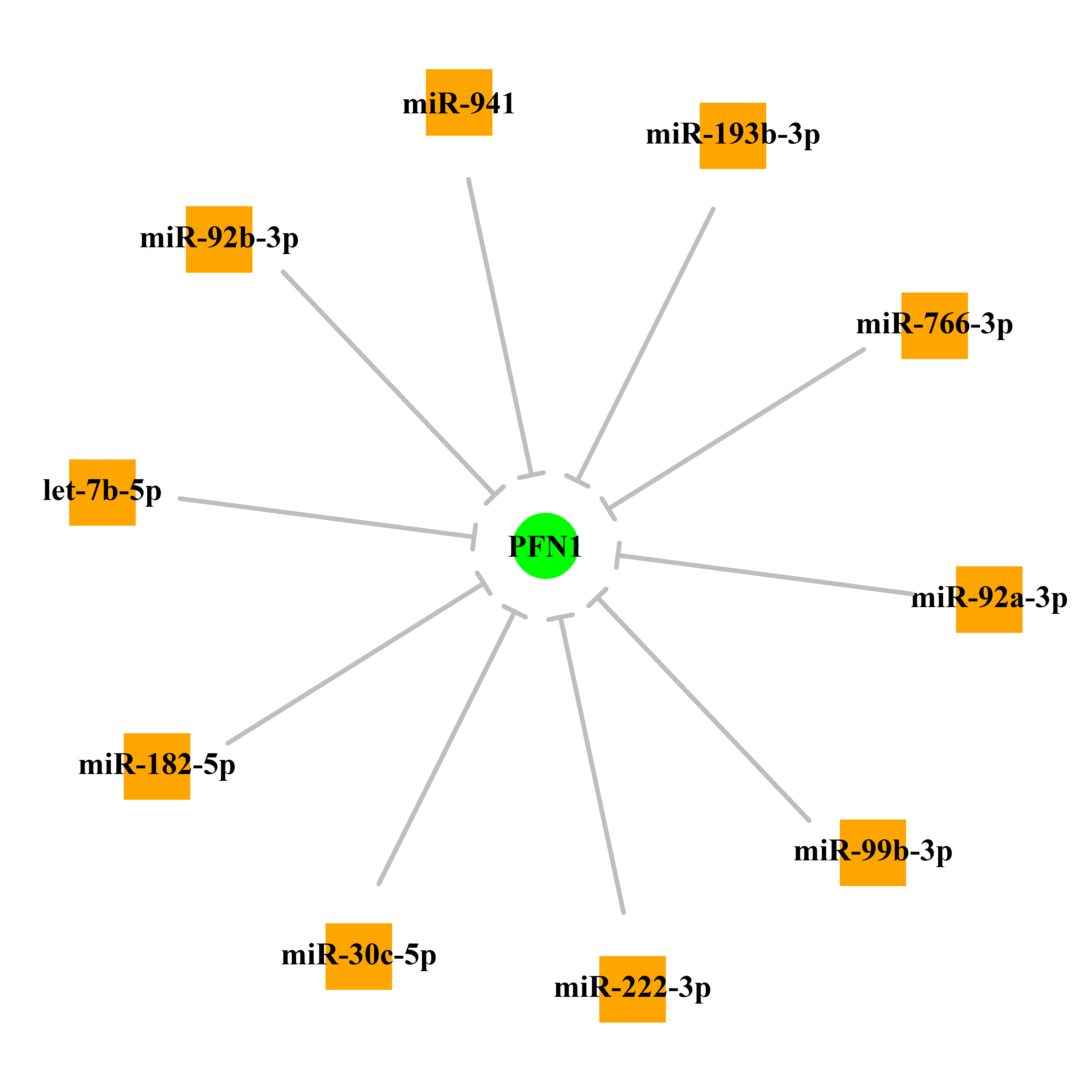 Experimentally validated miRNA-TS gene regulation information.