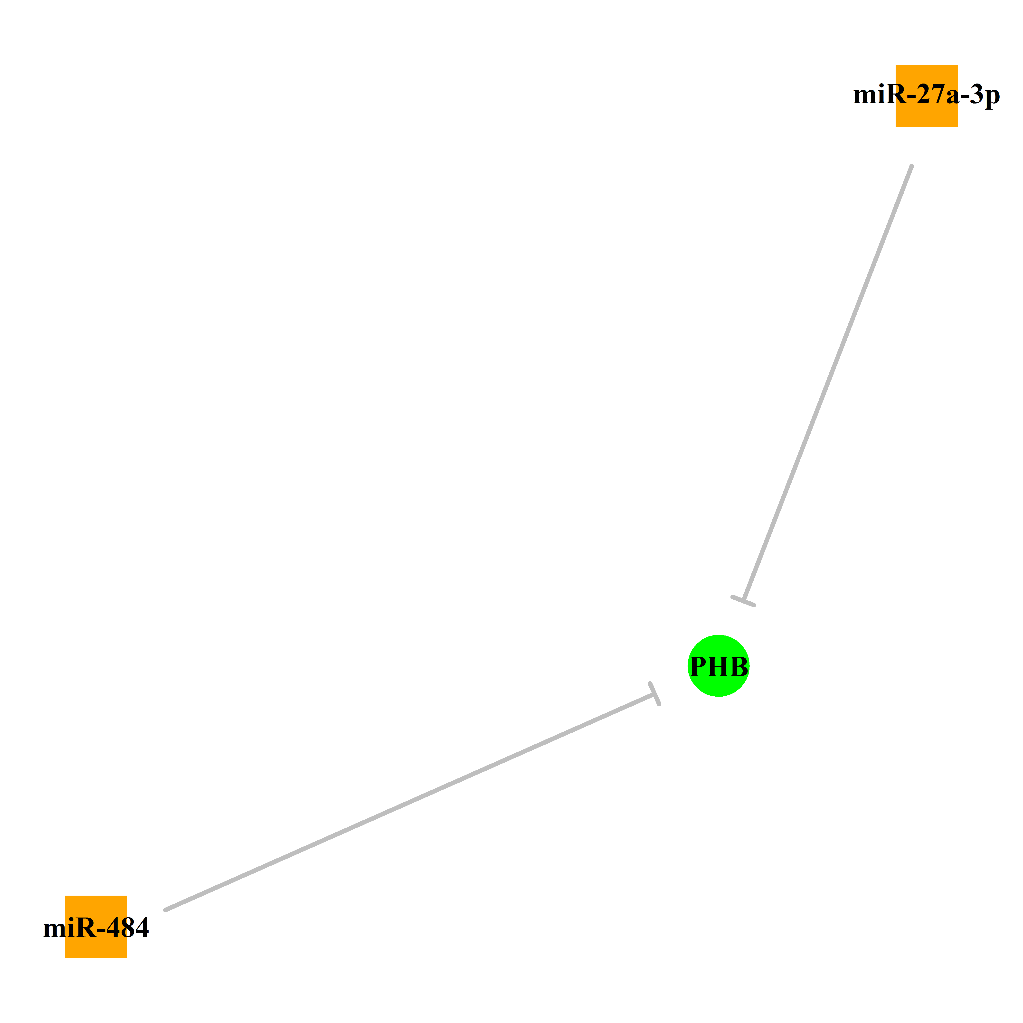 Experimentally validated miRNA-TS gene regulation information.