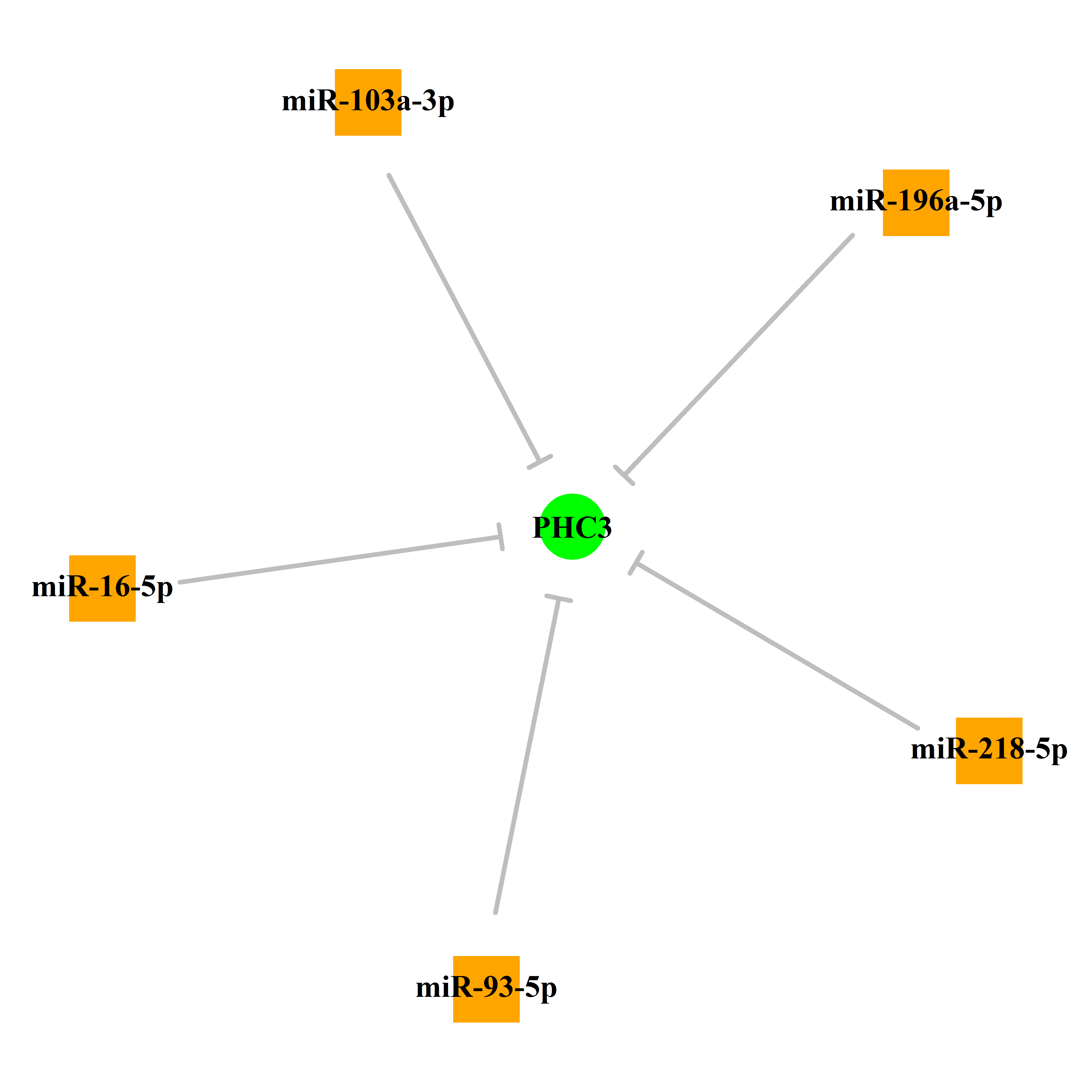 Experimentally validated miRNA-TS gene regulation information.