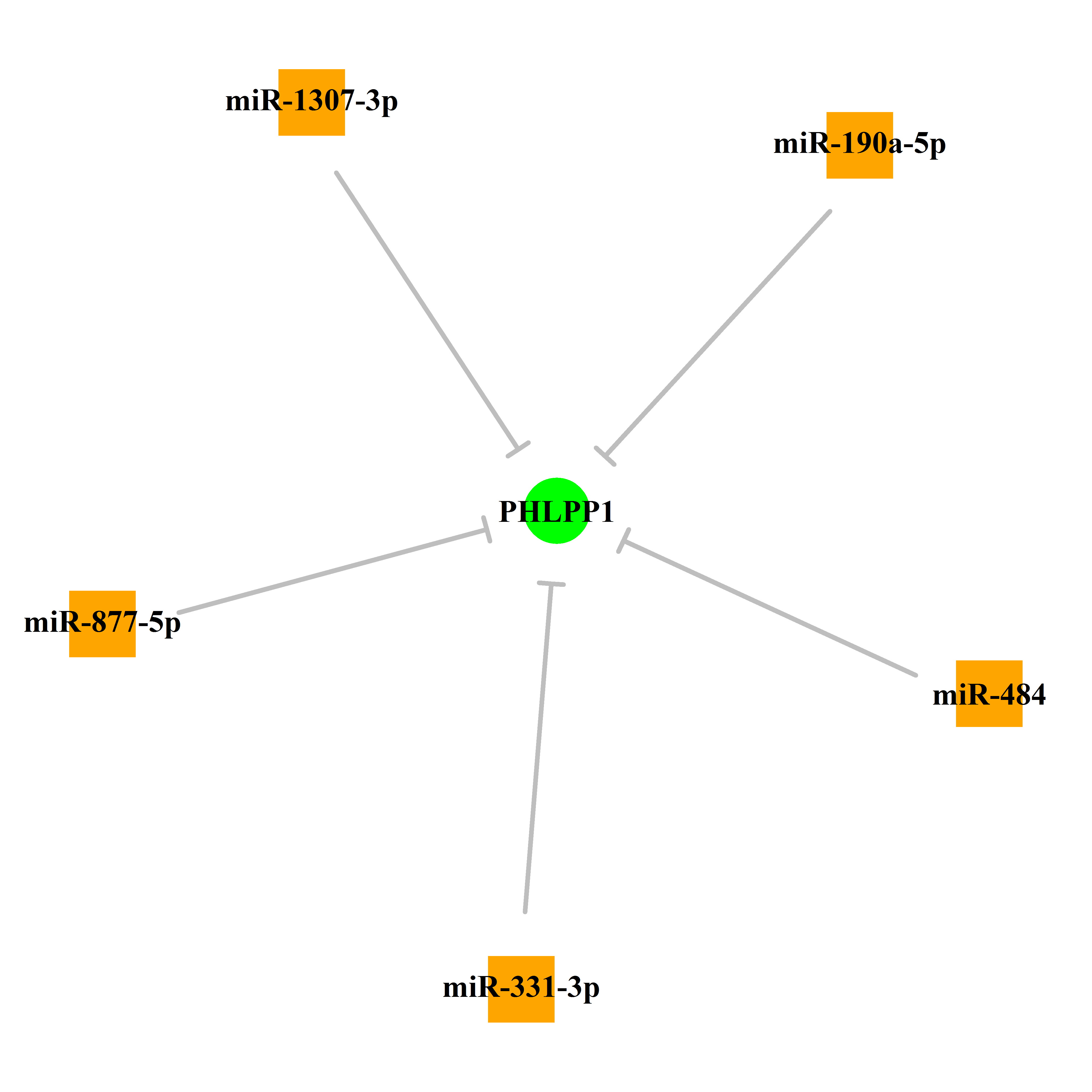 Experimentally validated miRNA-TS gene regulation information.