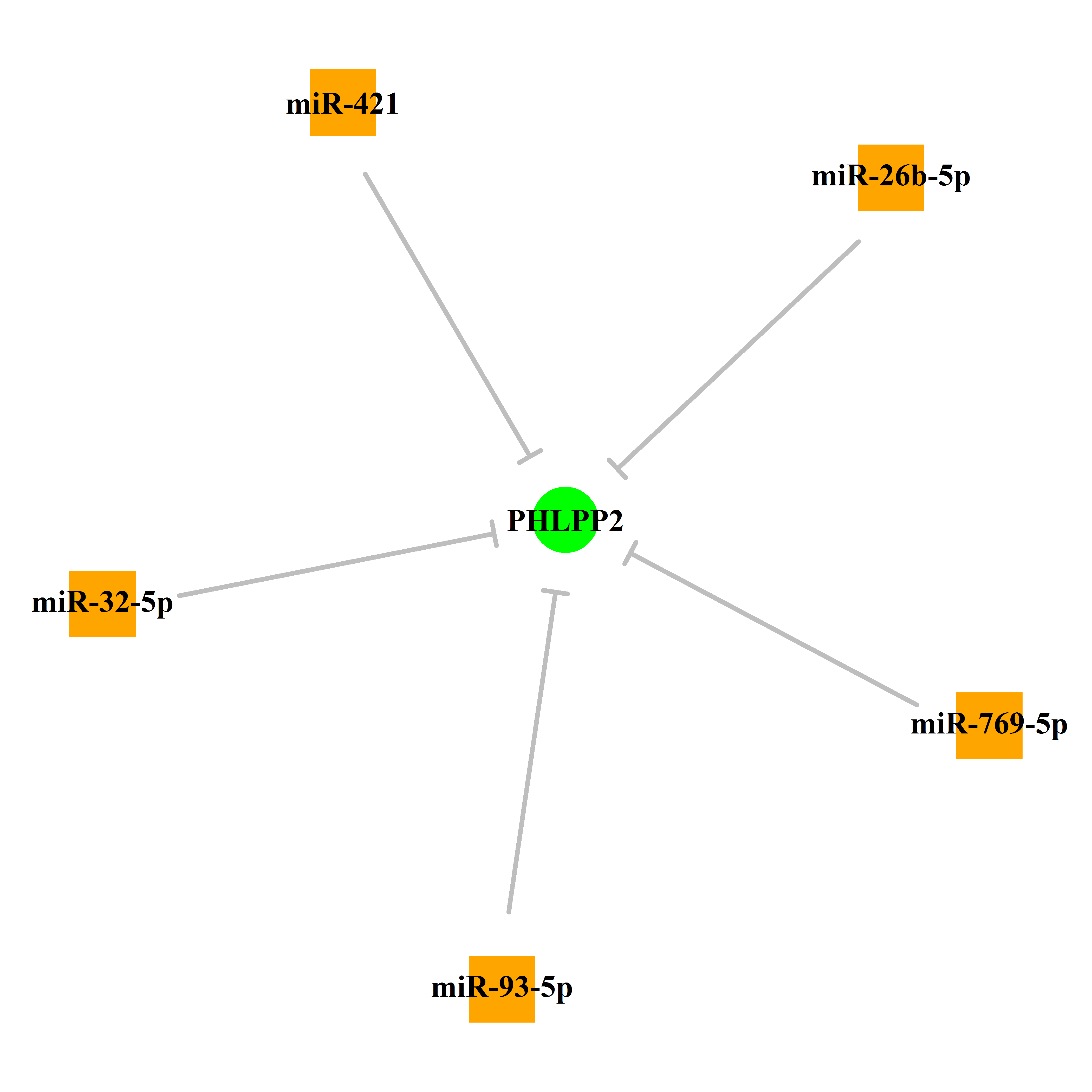 Experimentally validated miRNA-TS gene regulation information.