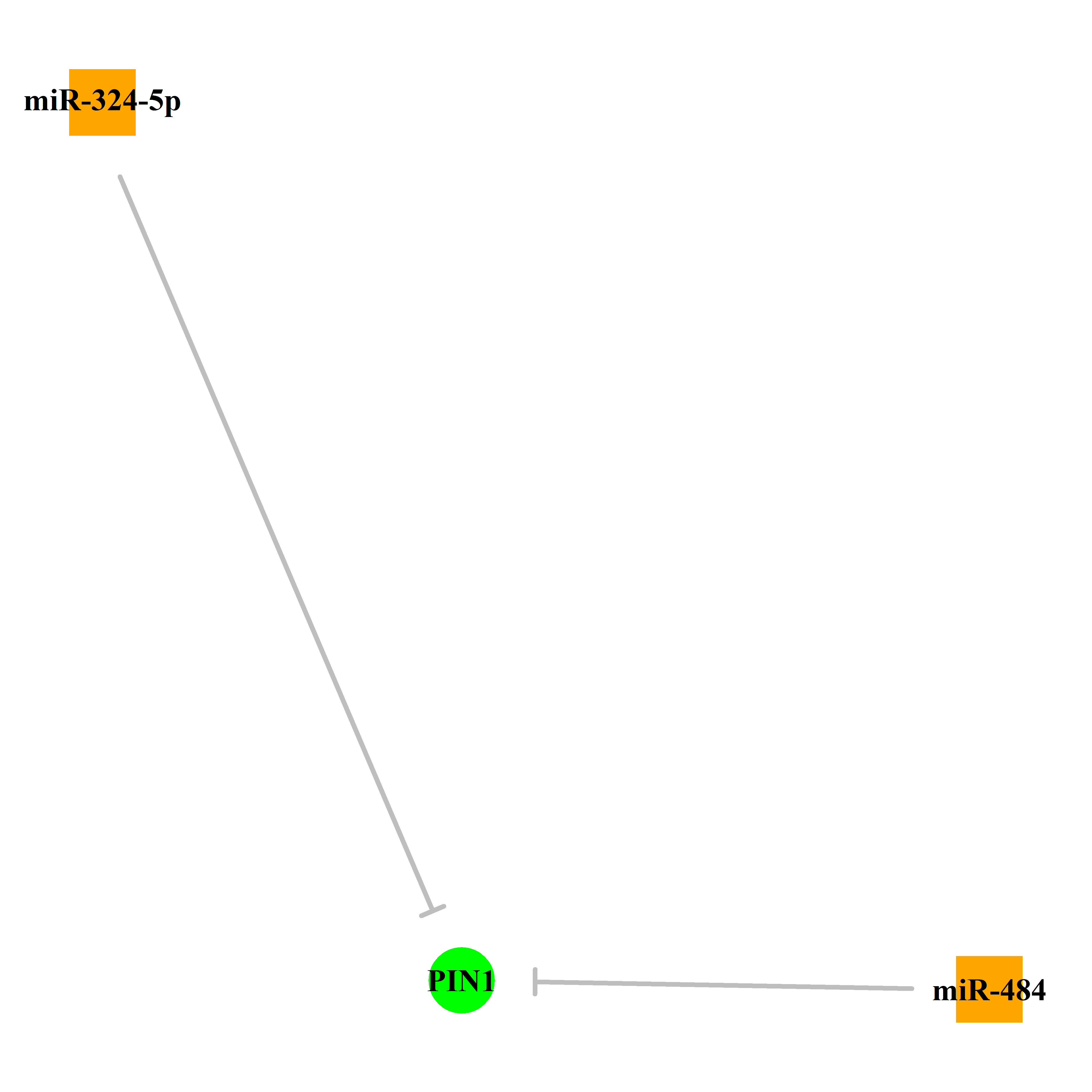 Experimentally validated miRNA-TS gene regulation information.