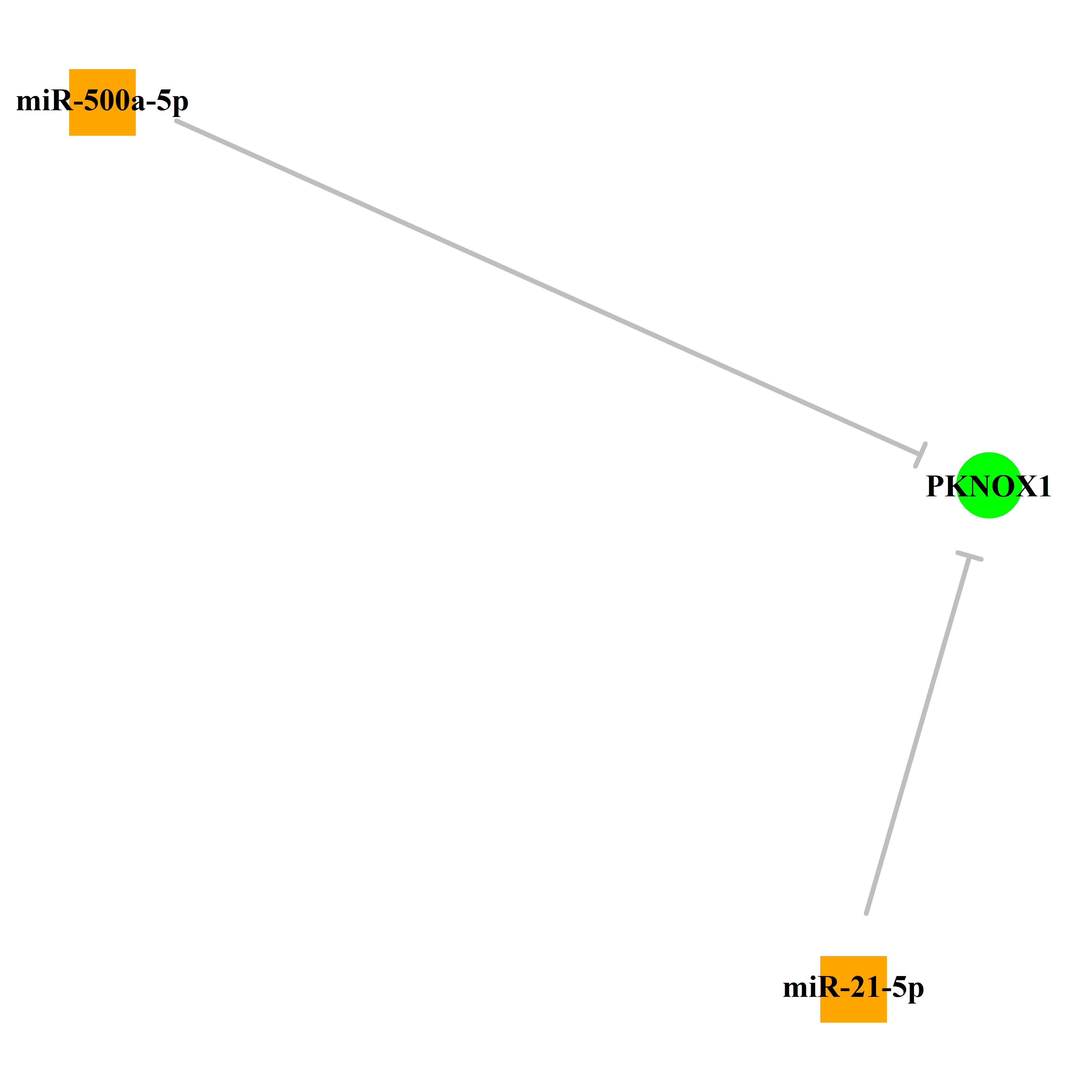 Experimentally validated miRNA-TS gene regulation information.