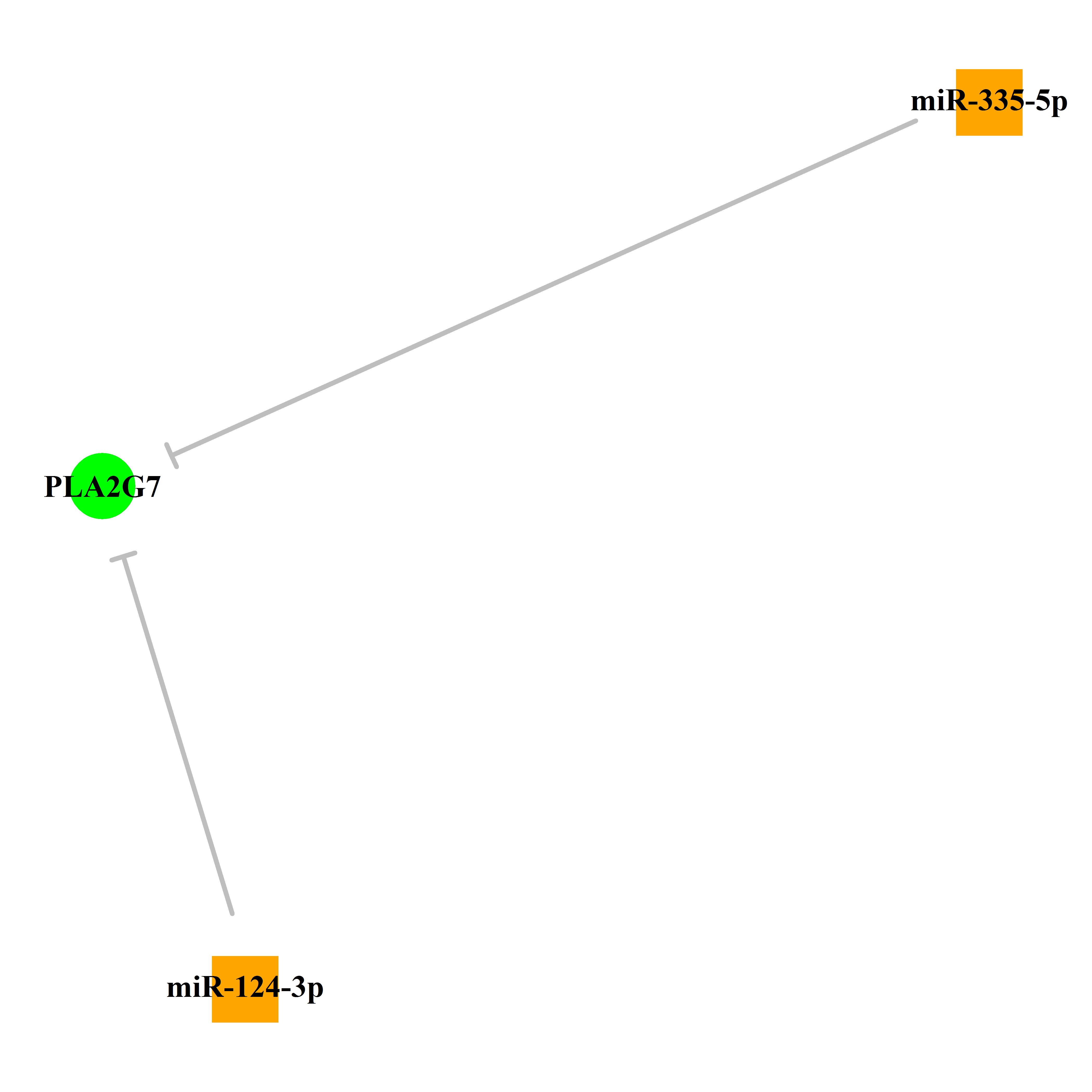 Experimentally validated miRNA-TS gene regulation information.