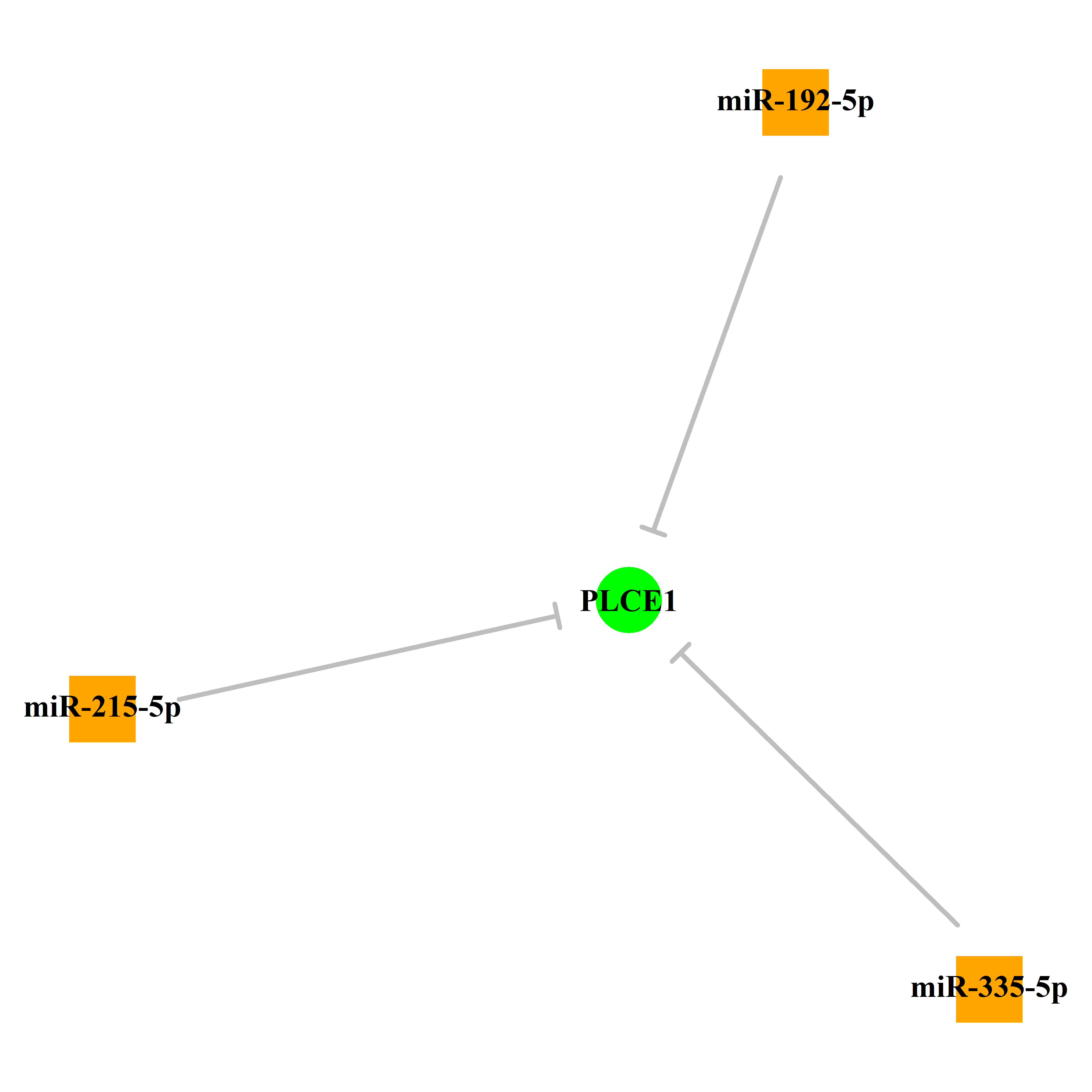 Experimentally validated miRNA-TS gene regulation information.