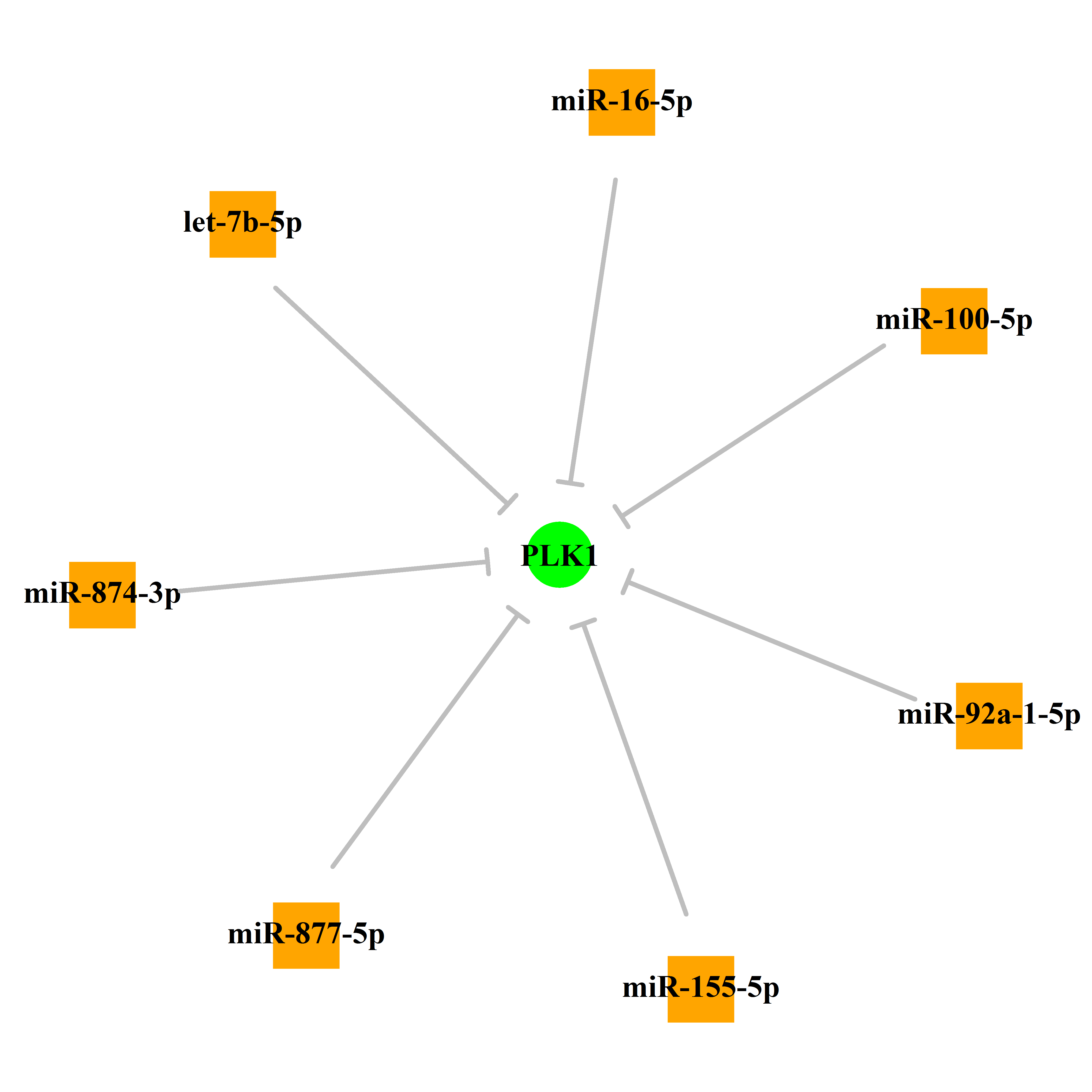 Experimentally validated miRNA-TS gene regulation information.