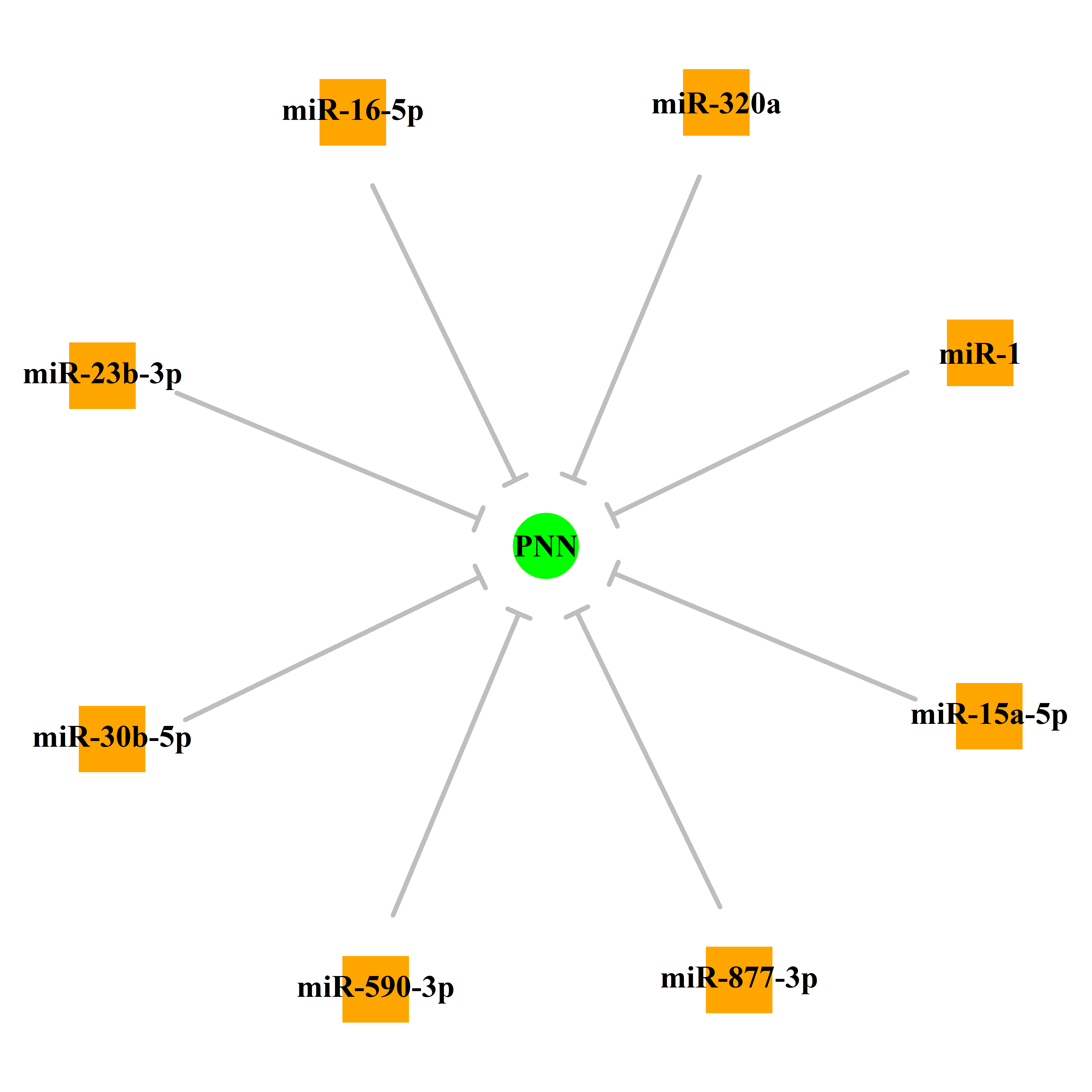 Experimentally validated miRNA-TS gene regulation information.