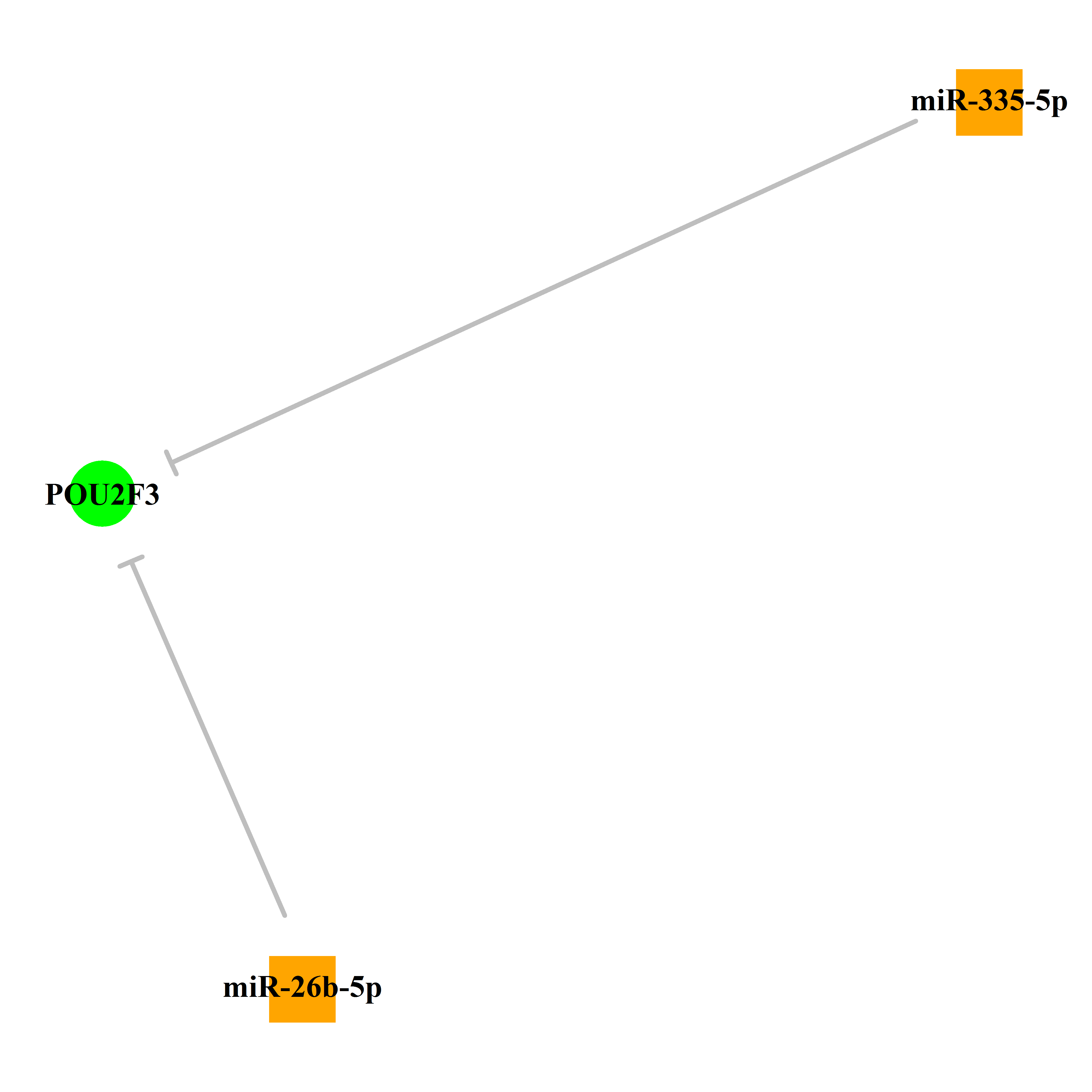 Experimentally validated miRNA-TS gene regulation information.