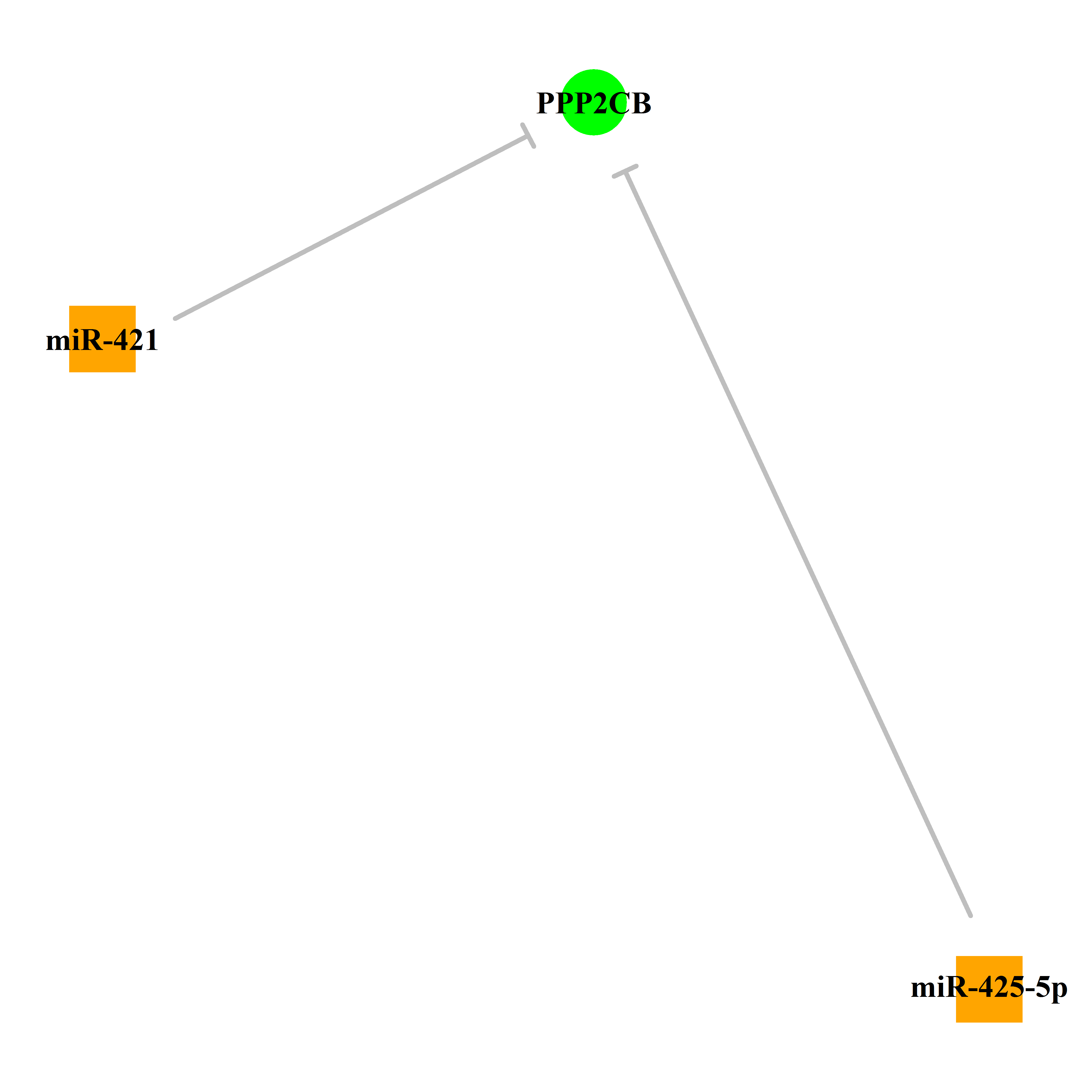 Experimentally validated miRNA-TS gene regulation information.