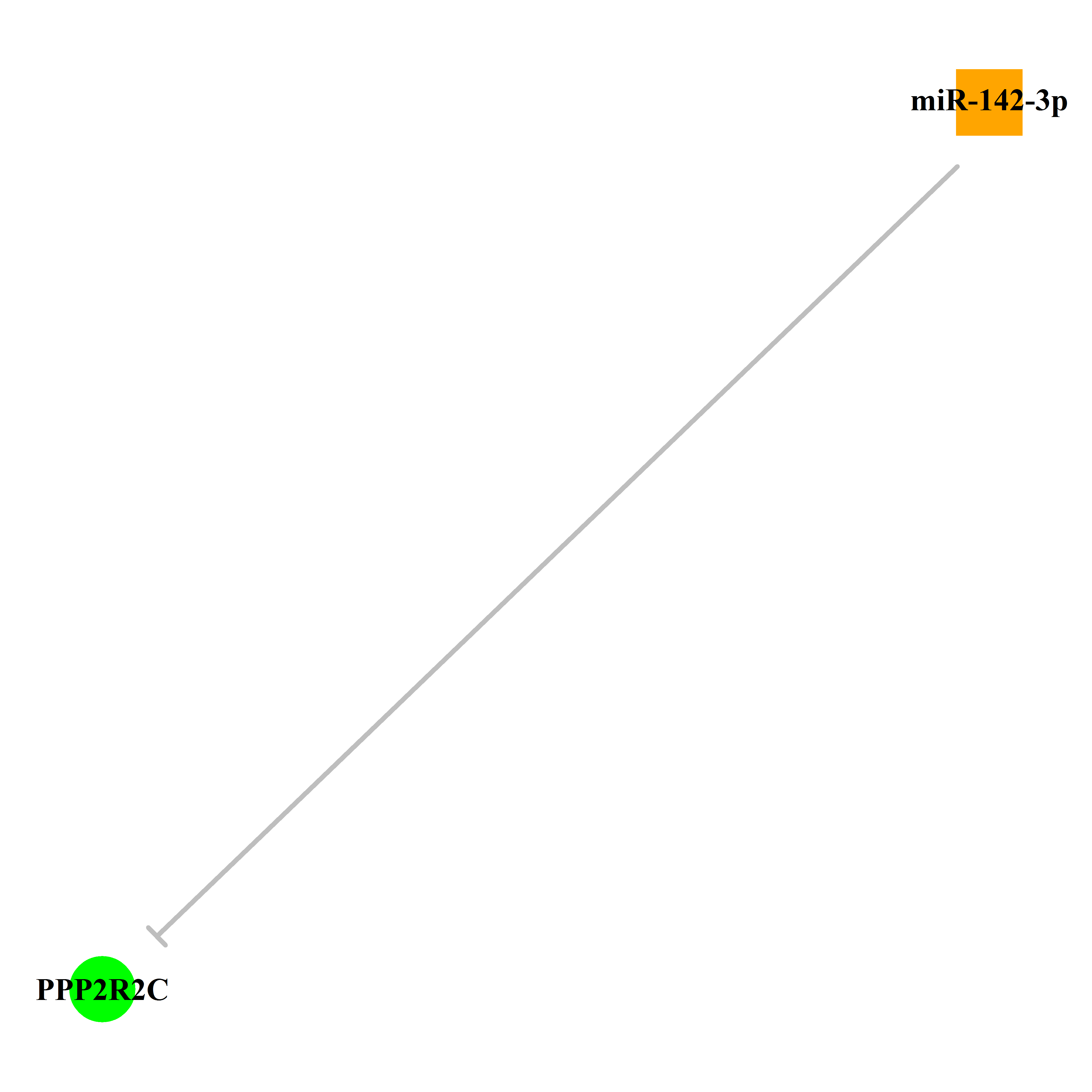 Experimentally validated miRNA-TS gene regulation information.