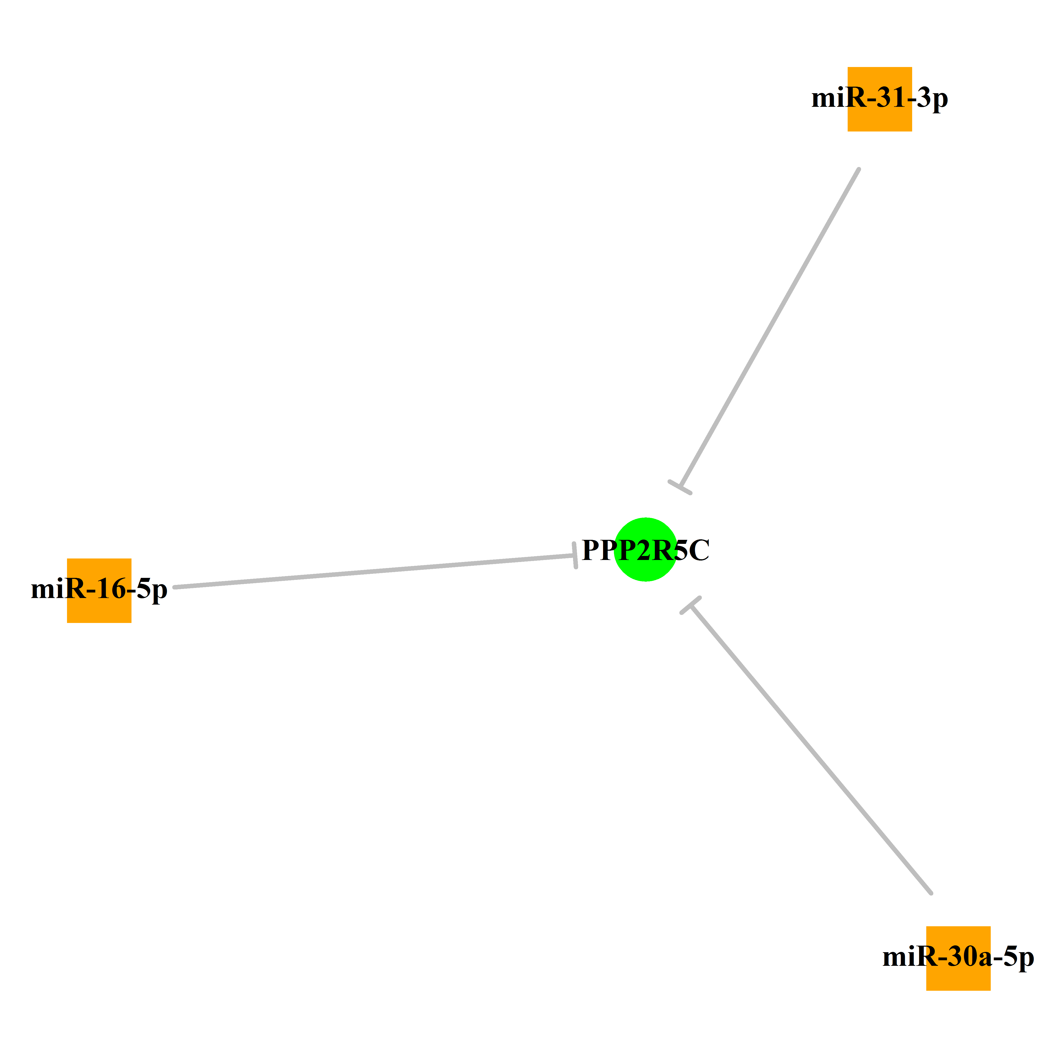 Experimentally validated miRNA-TS gene regulation information.