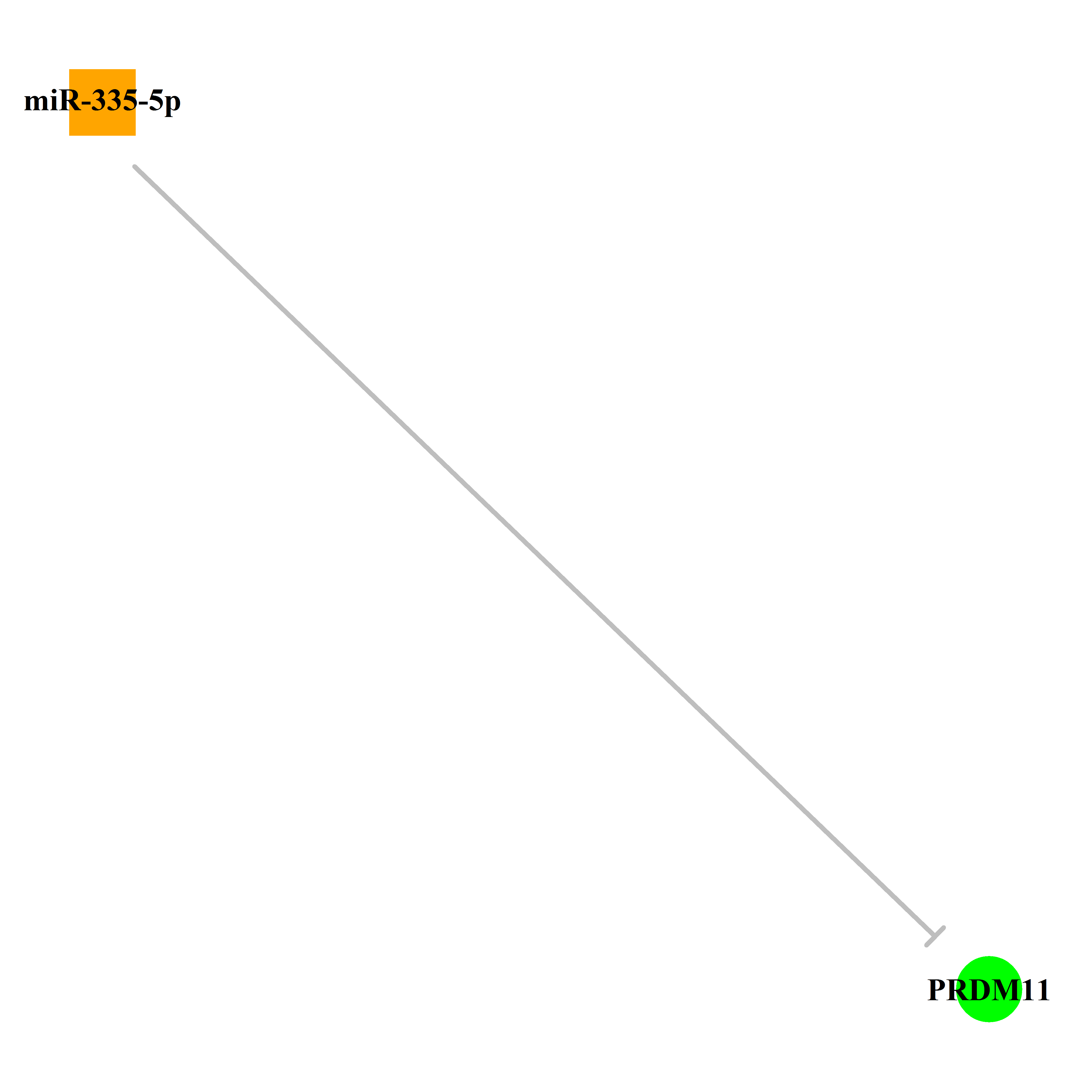 Experimentally validated miRNA-TS gene regulation information.