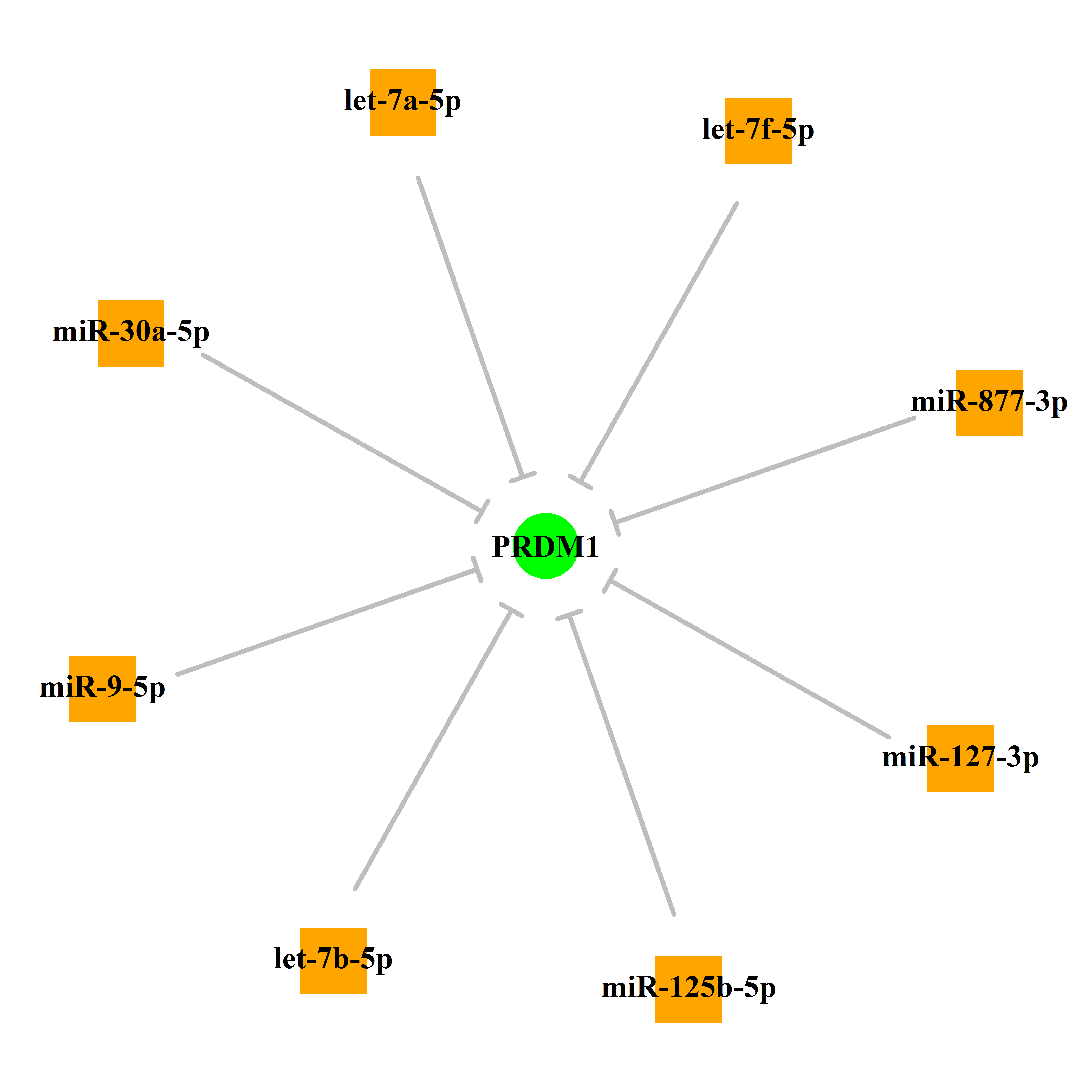 Experimentally validated miRNA-TS gene regulation information.