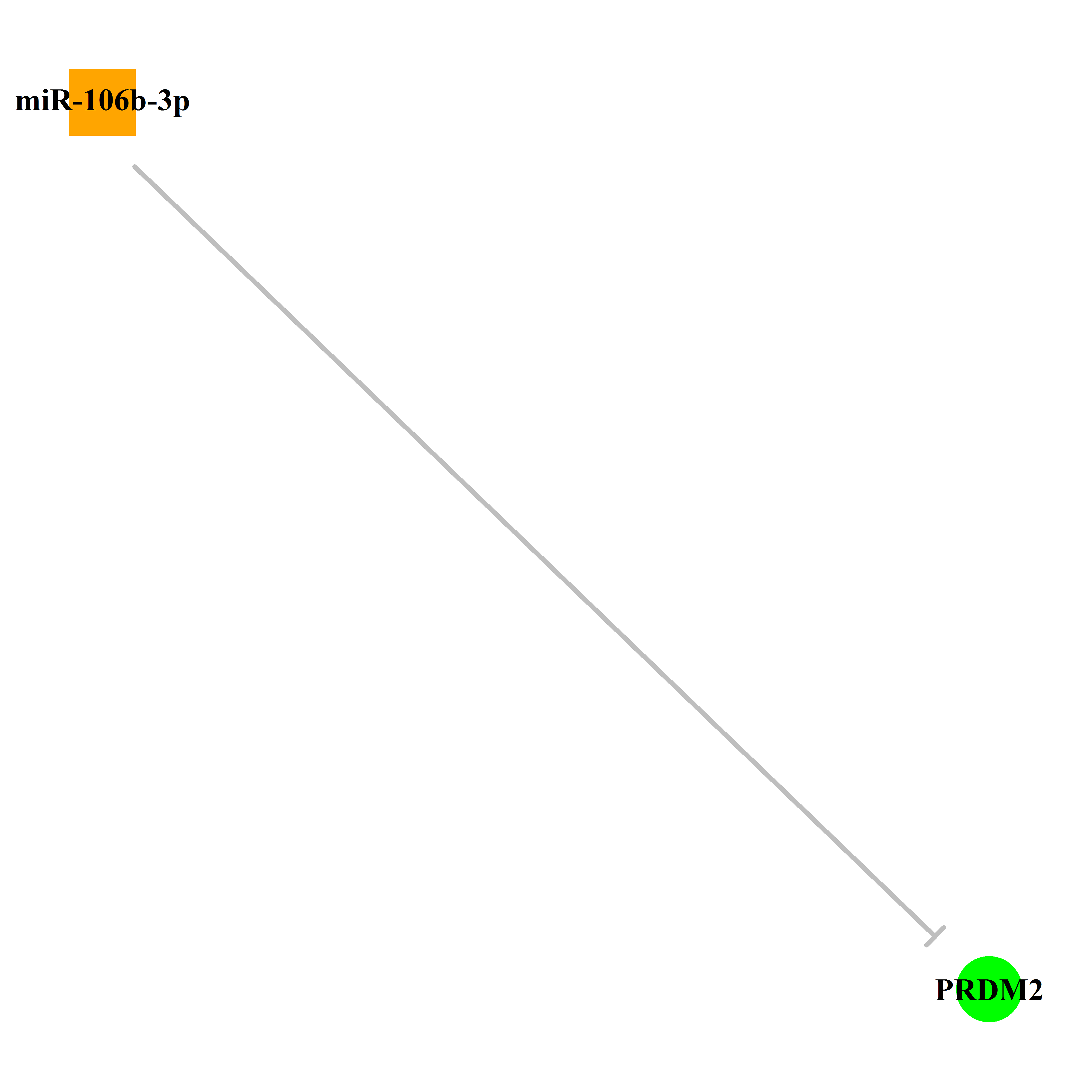 Experimentally validated miRNA-TS gene regulation information.